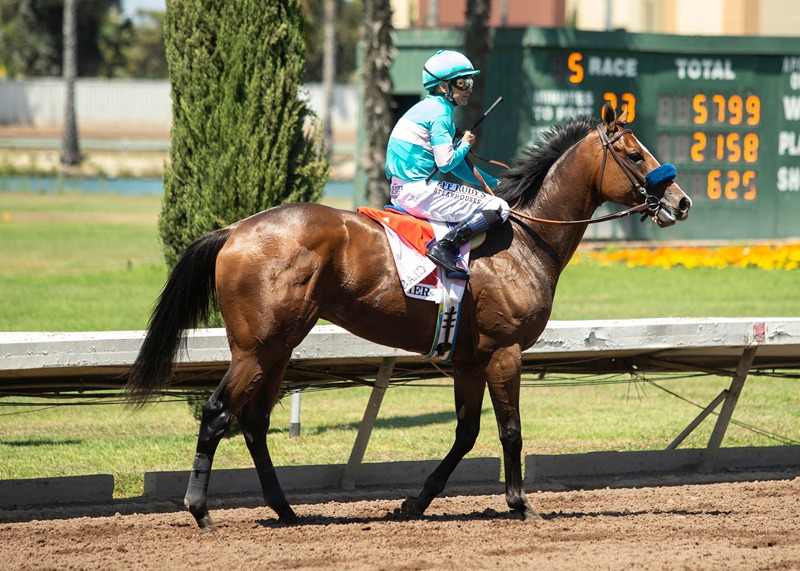 Classier - Los Alamitos Derby 2021