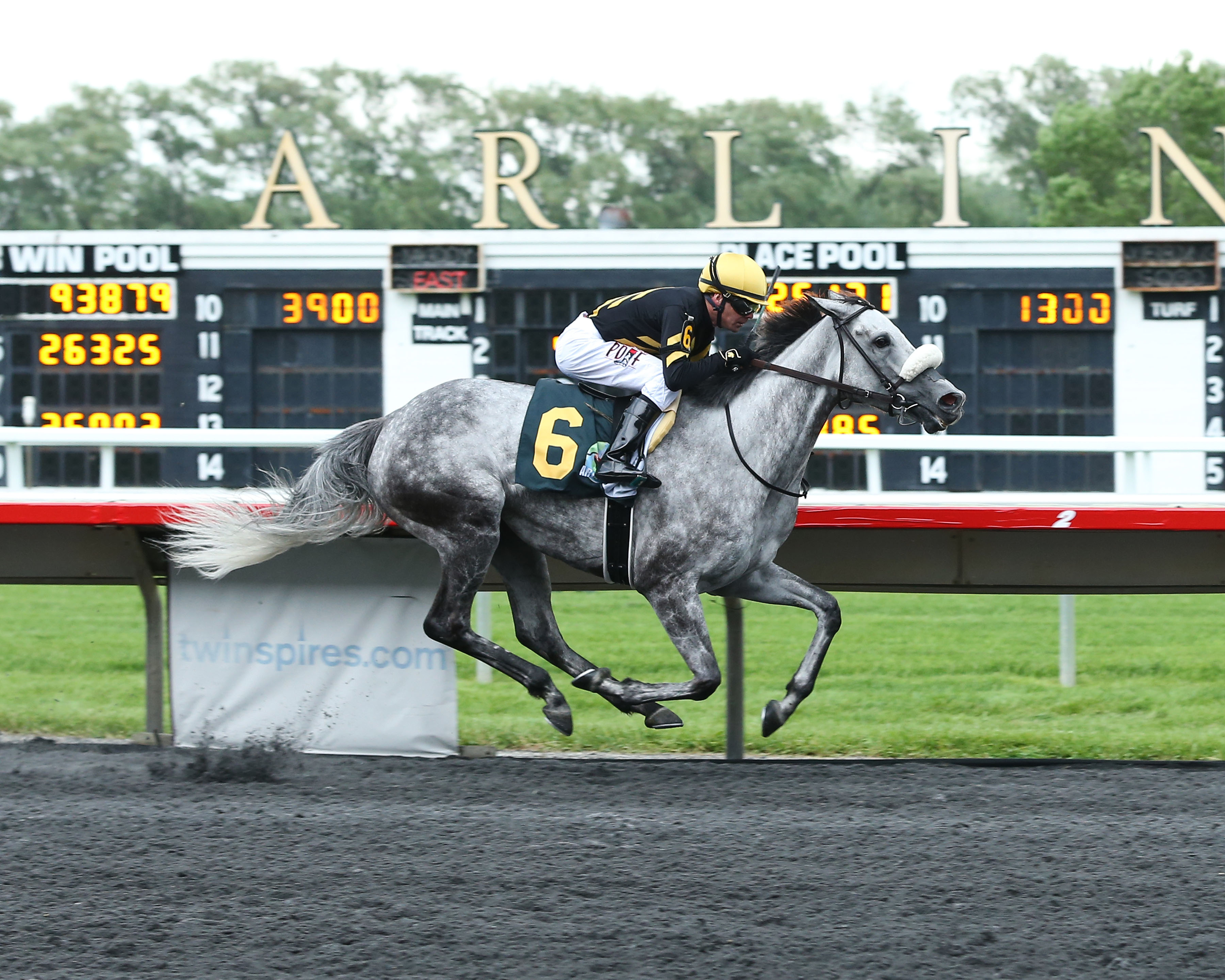 Coachwhip wins the 2019 Arlington Matron