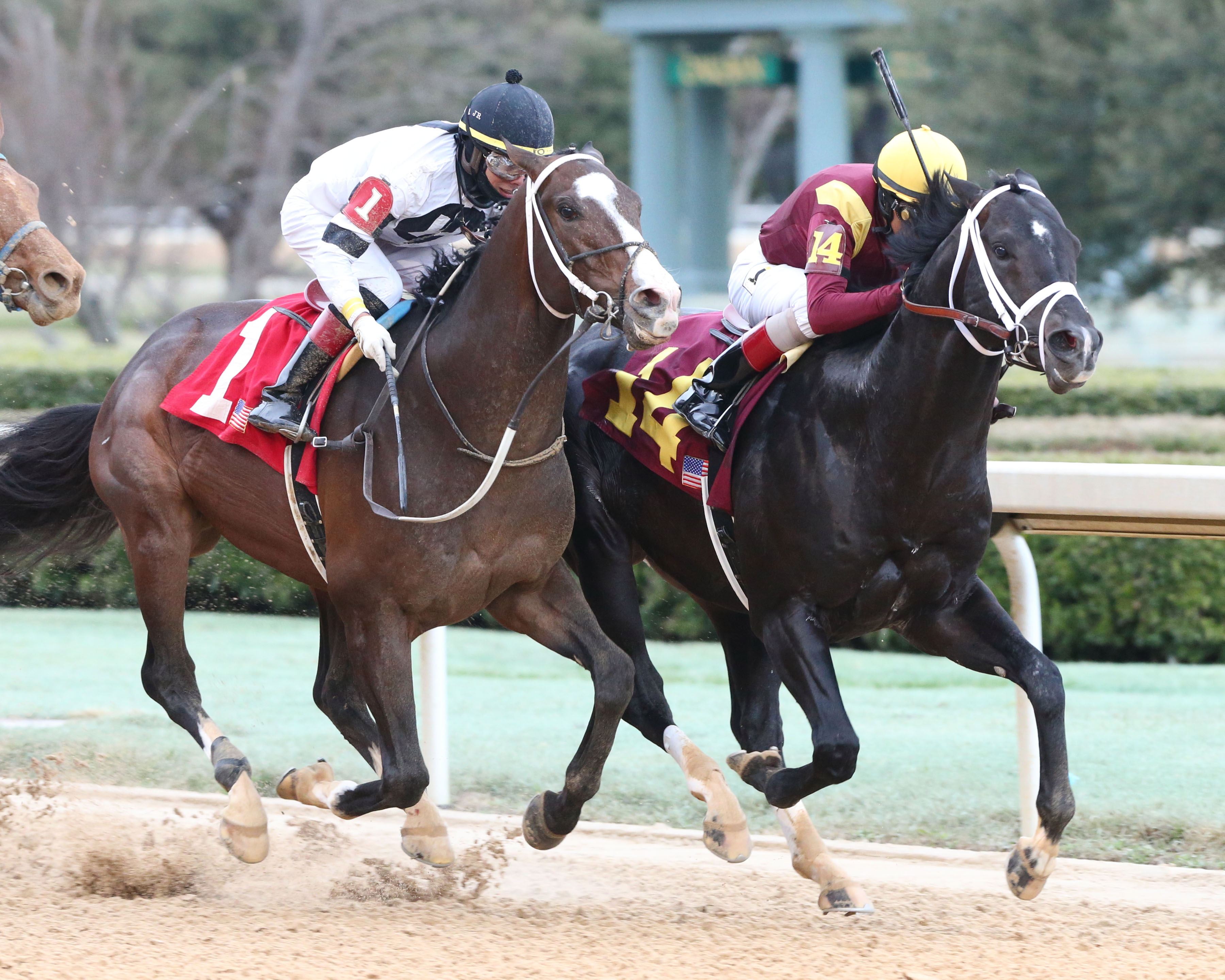 Coal Front wins 2019 Razorback