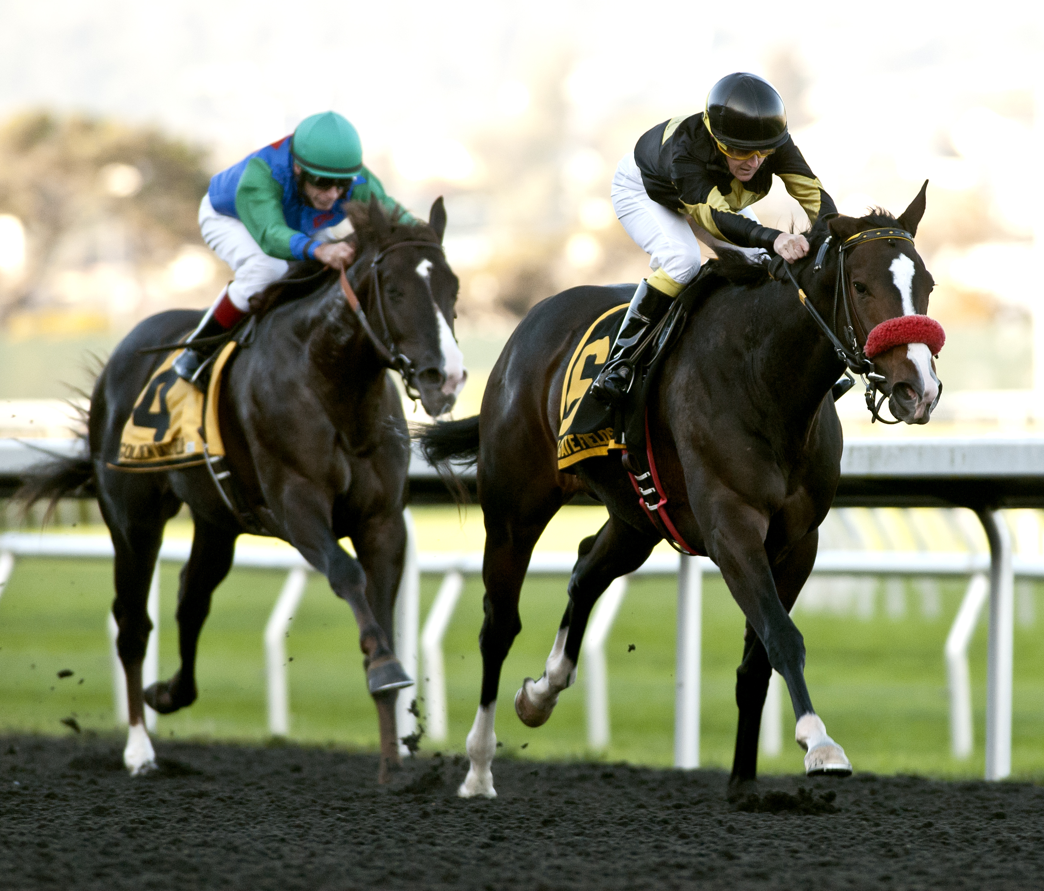 Code Warrior 11-7-2015