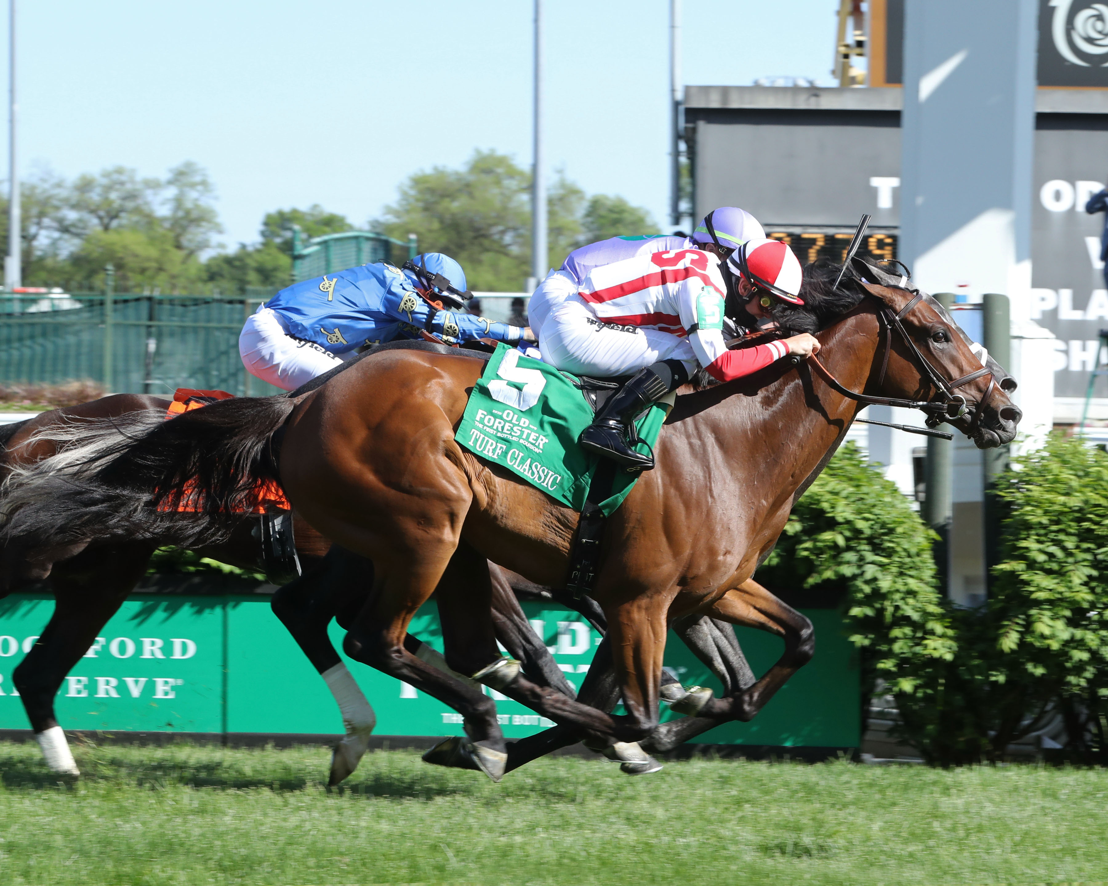 Colonel Liam/Domestic Spending - Turf Classic 2021