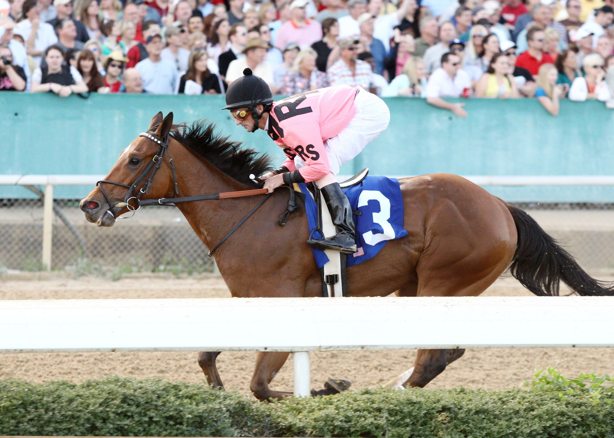 Comedero 4-2-2011