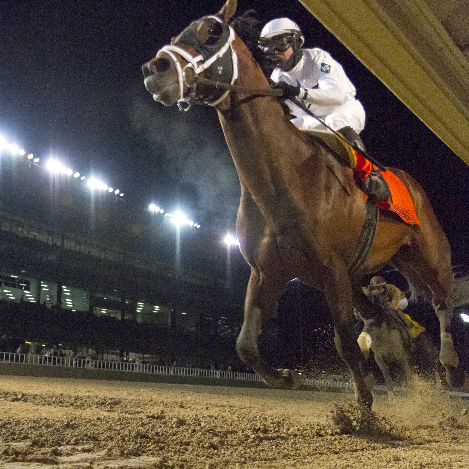 Commissioner wins 2015 Hawthorne Gold Cup