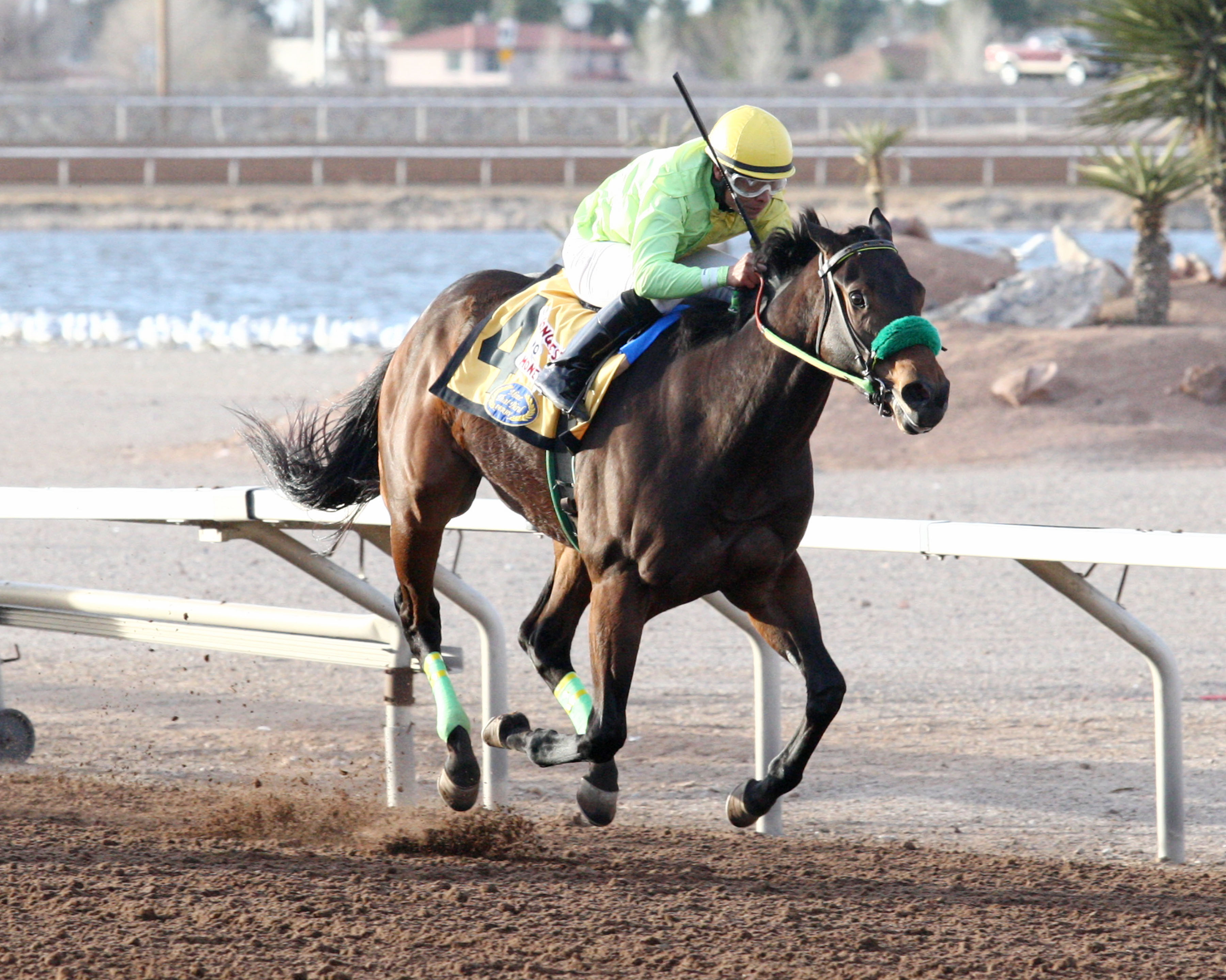 Conquest Mo Money stays perfect in Mine That Bird Derby