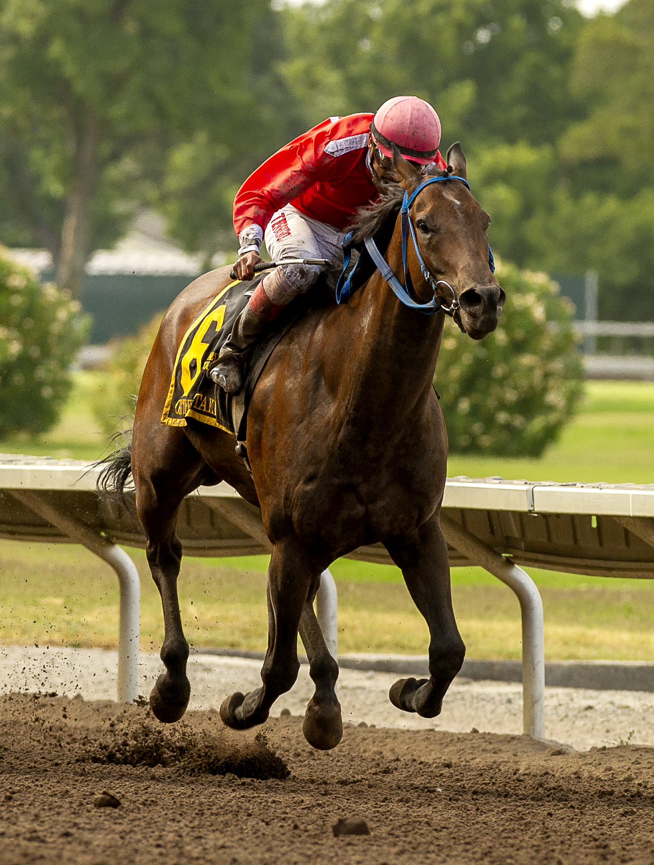 Cool Mountain Lad wins Oak Tree Sprint 7-2-2002