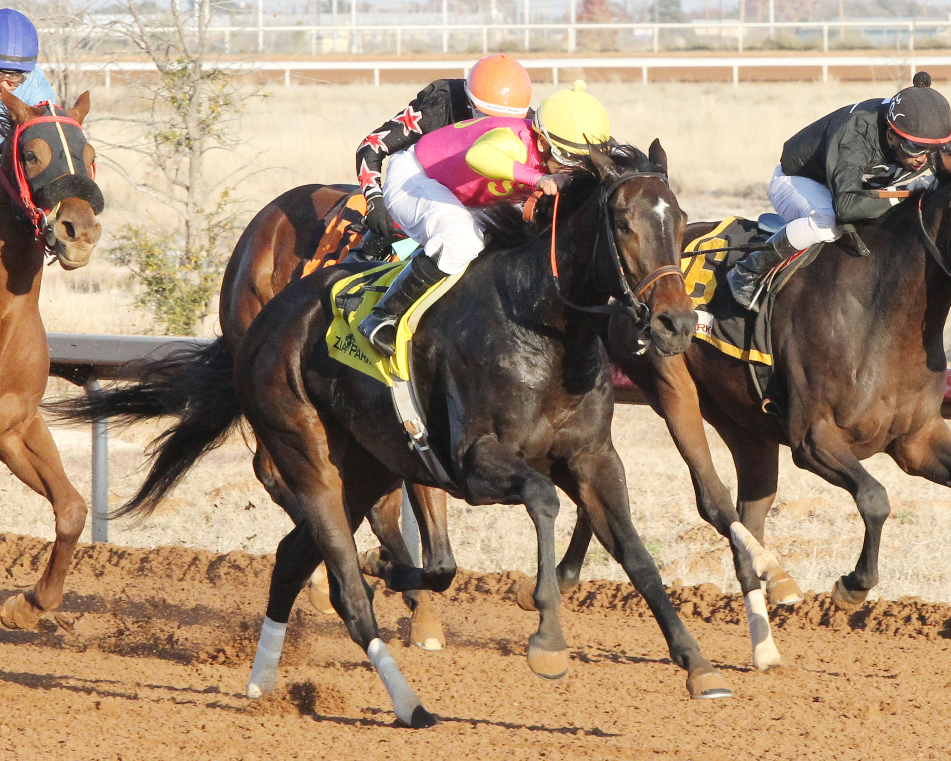 Cosmic Burst wins the 2018 Zia Oaks