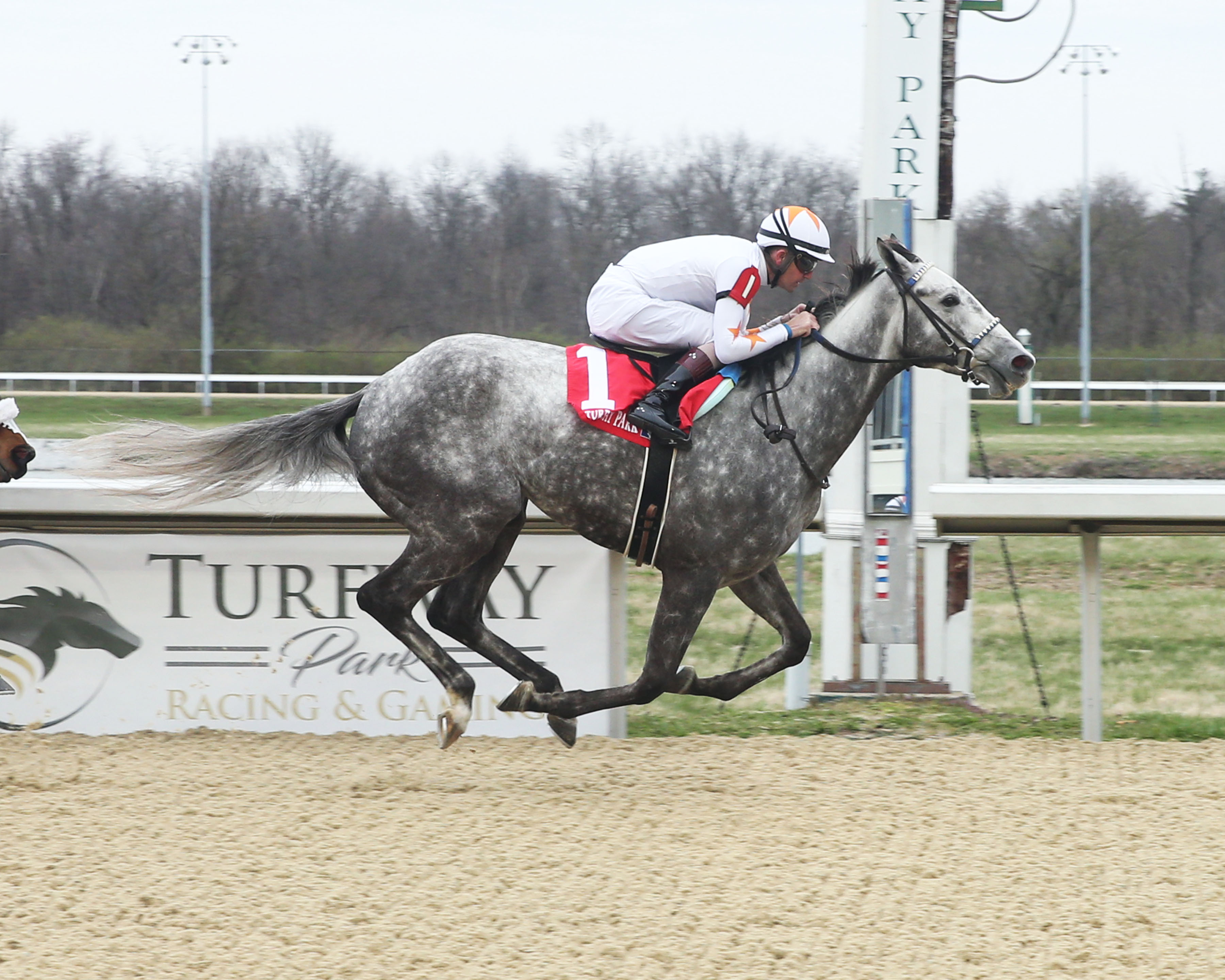 Crazy Beautiful/Latonia Stakes
