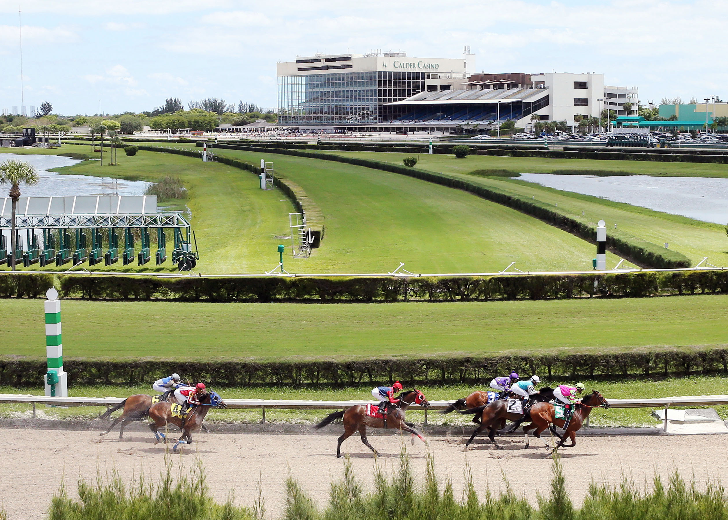 Calder Race Course, racing scenic