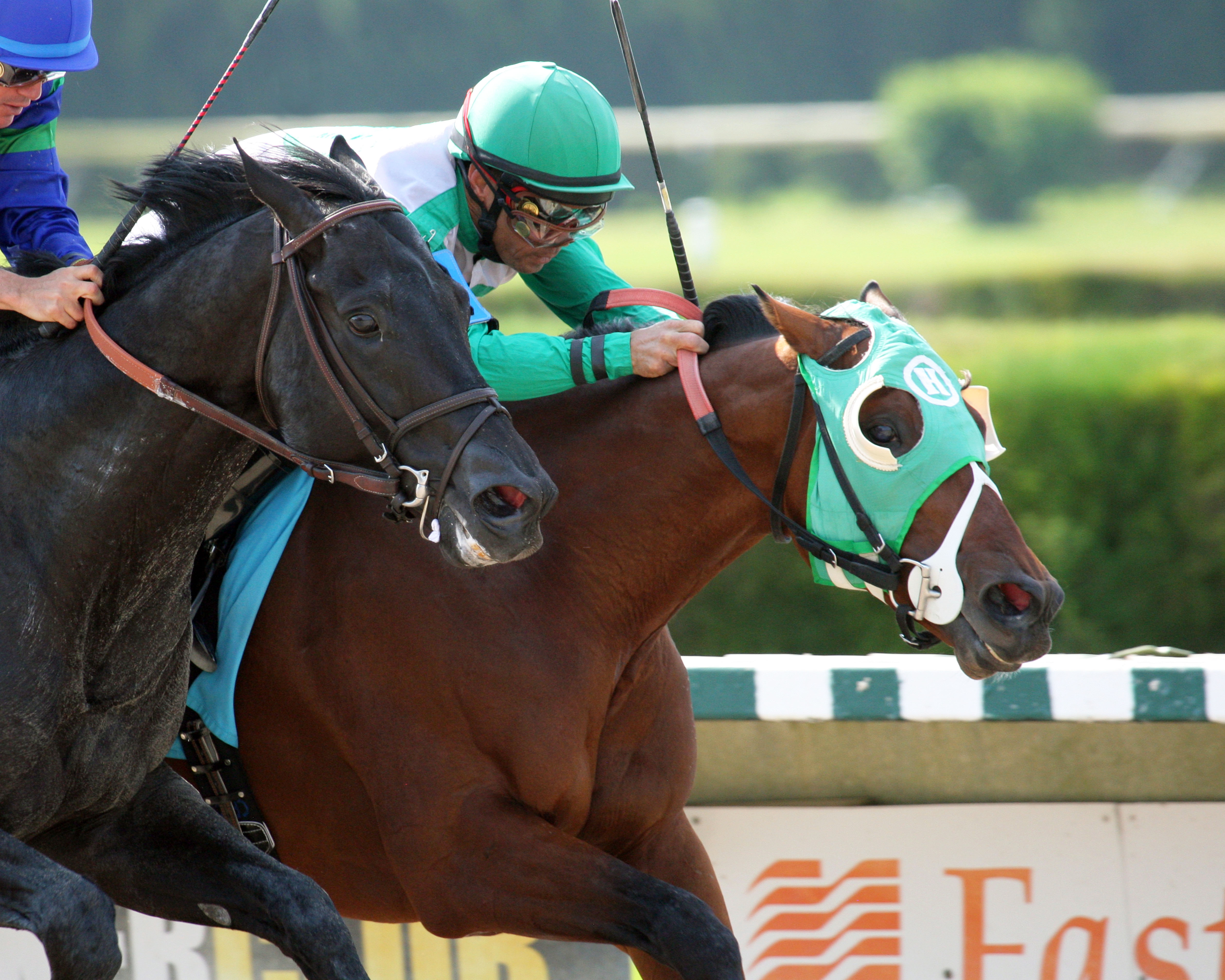 Csaba wins 2014 Memorial Handicap