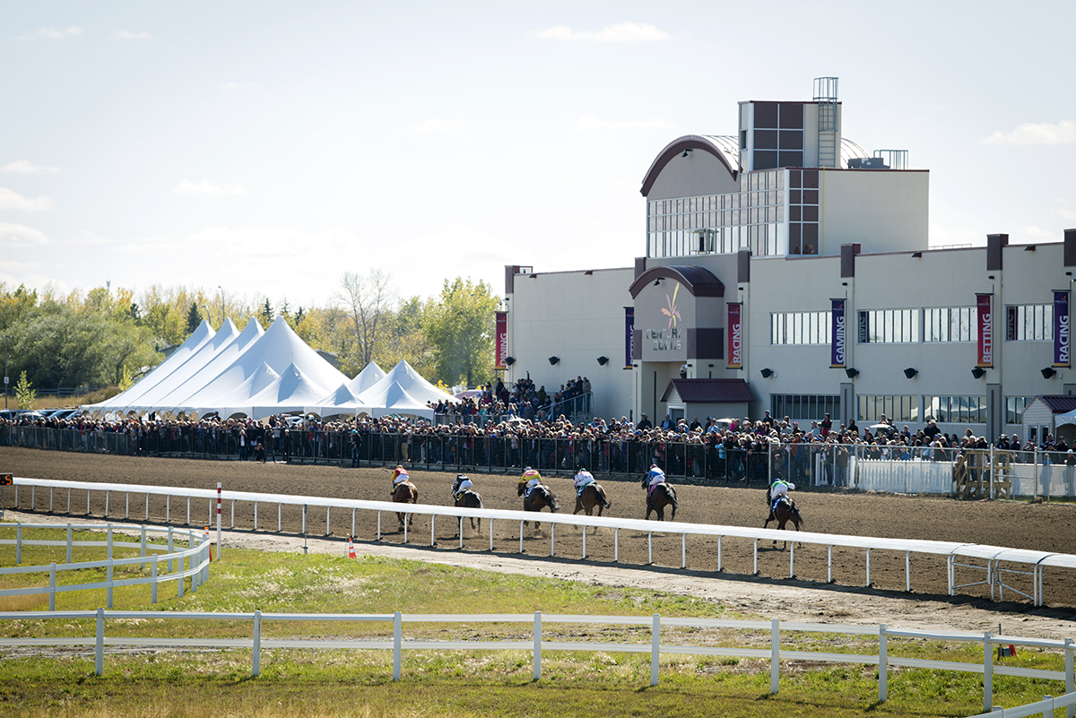 Century Downs