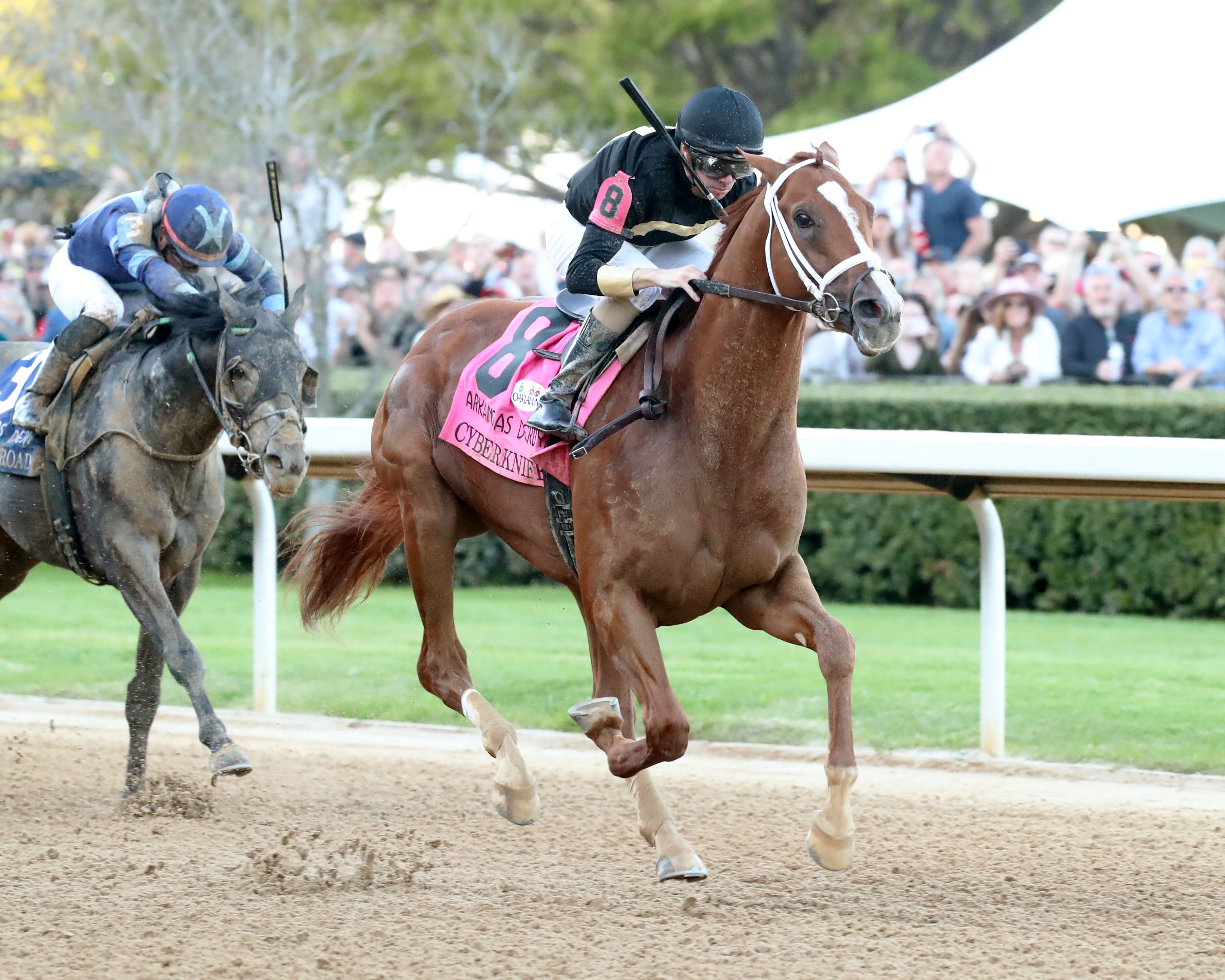 Cyberknife/Arkansas Derby