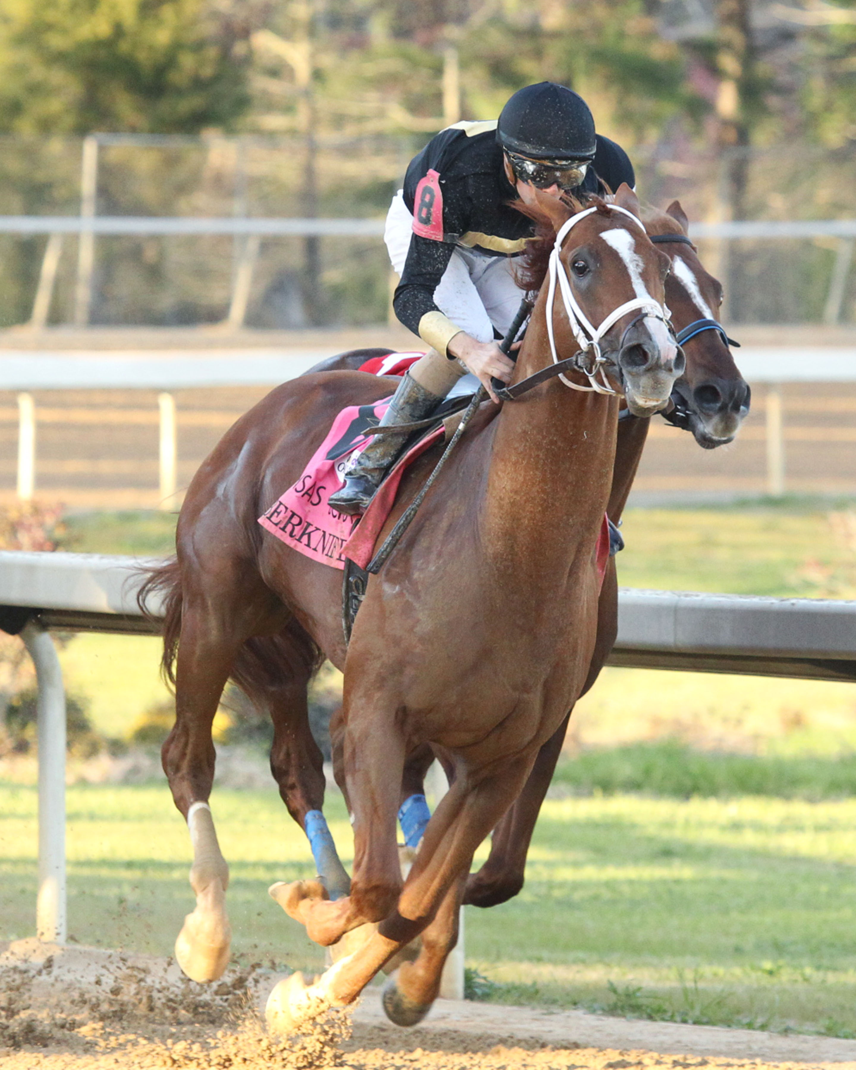 Cyberknife wins Arkansas Derby 4-2-2022