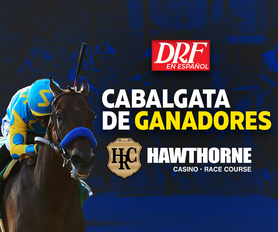 Cabalgata de Ganadores - Hawthorne