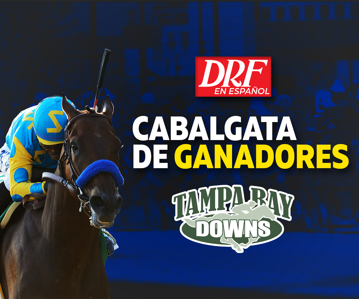 Cabalgata de Ganadores - Tampa Bay Downs