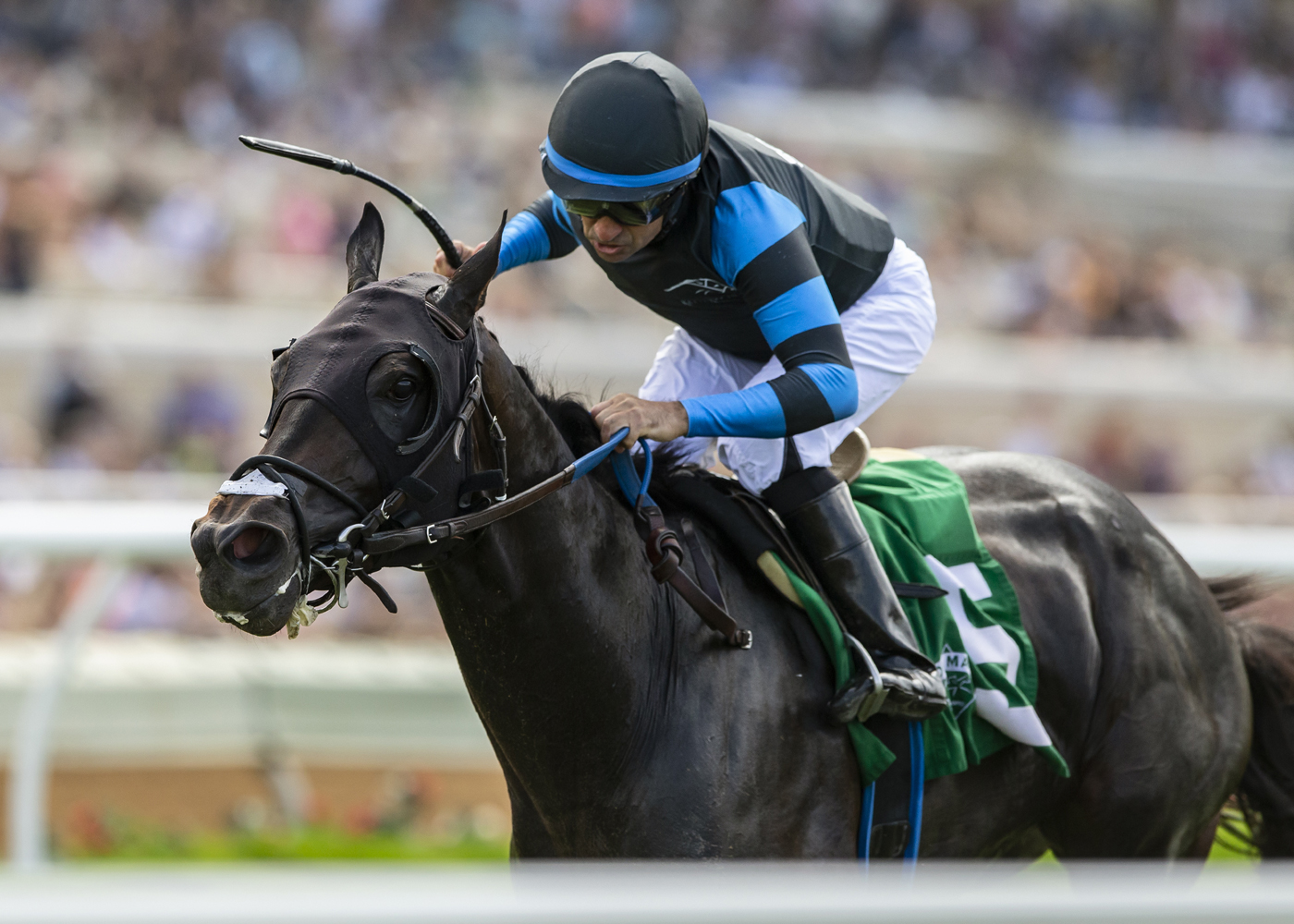 Cabo Spirit wins La Jolla 8-7-2022