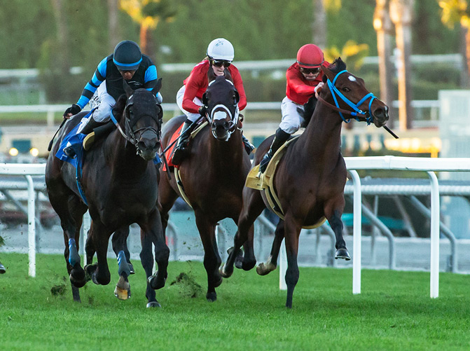 Cabo Spirit (left) and Maglev (right) come down the stretch of the Eddie Logan Stakes