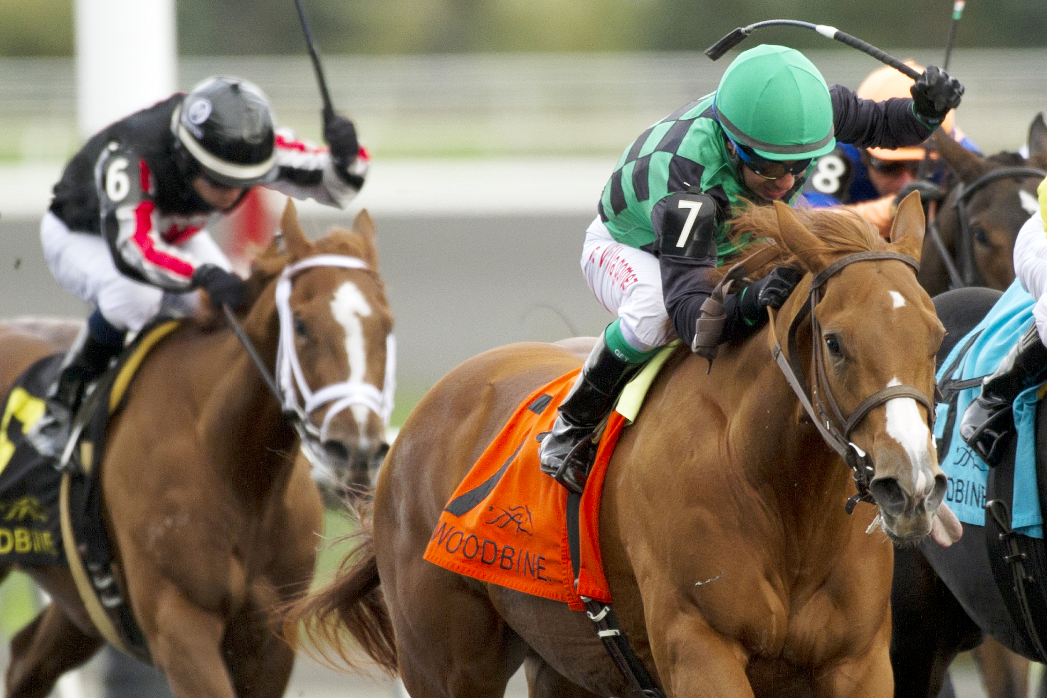 Cactus Kris wins the Ruling Angel Stakes