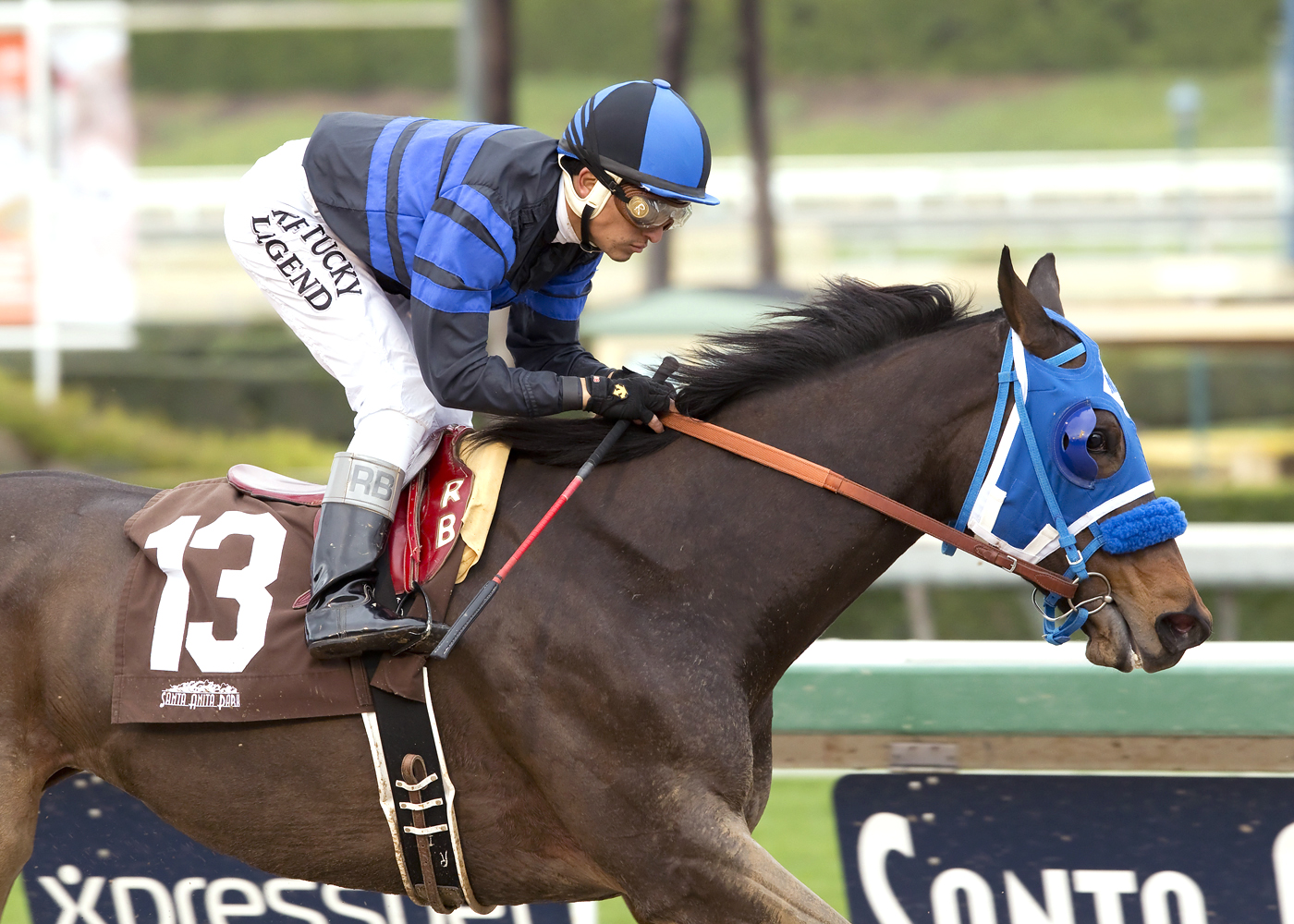 Cadet Roni wins the Wishing Well Stakes