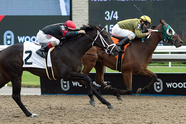 Cadet Connelly wins a Sept. 8 maiden race at Woodbine