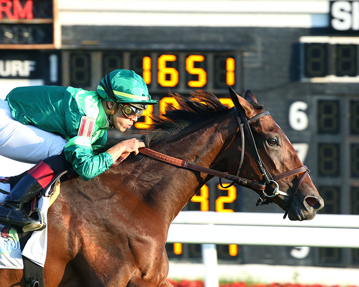 Cafe Americano wins the 2019 Pucker Up Stakes at Arlington Park