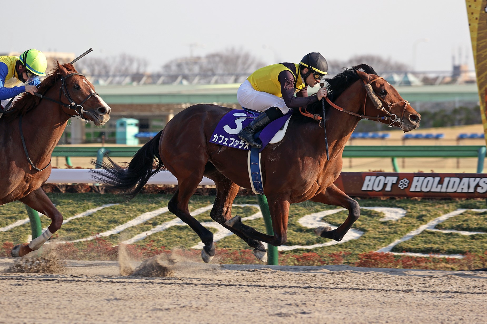 Cafe Pharoah/February Stakes