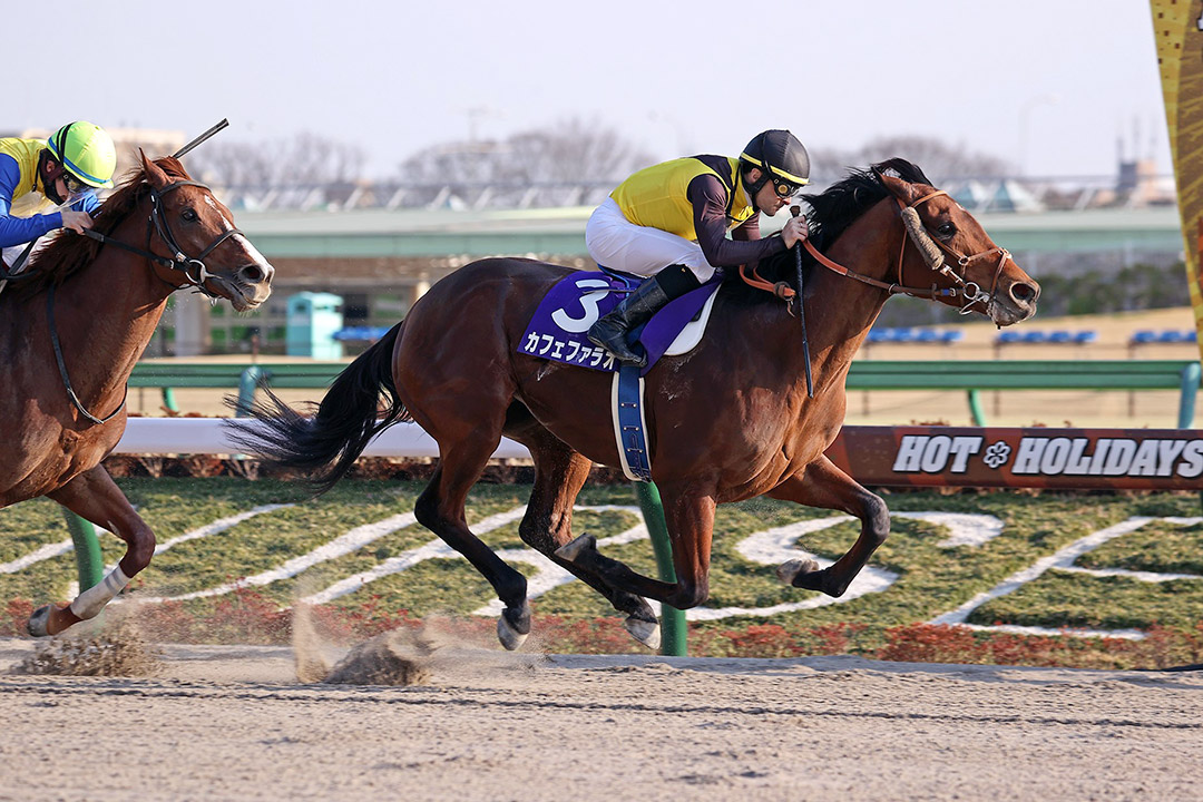 Cafe Pharoah wins the 2021 February Stakes at Tokyo Racecourse