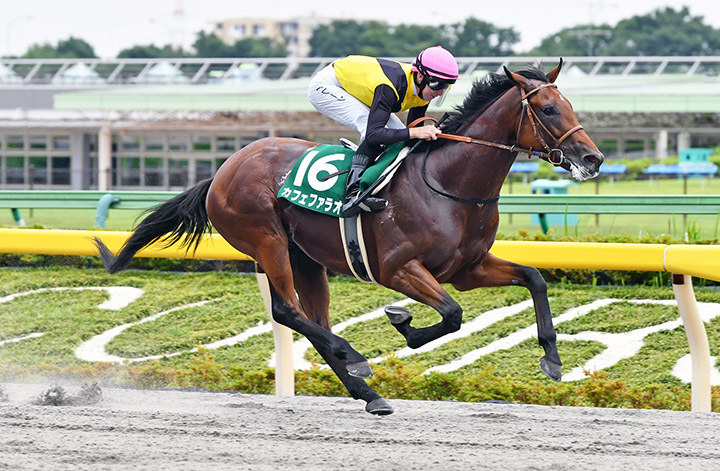 Cafe Pharoah wins the 2020 Unicorn Stakes at Tokyo Racecourse