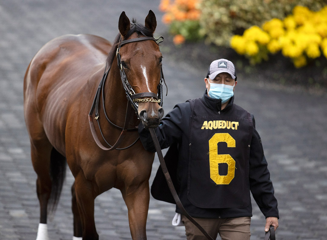 Cafe Society at Aqueduct in December 2020
