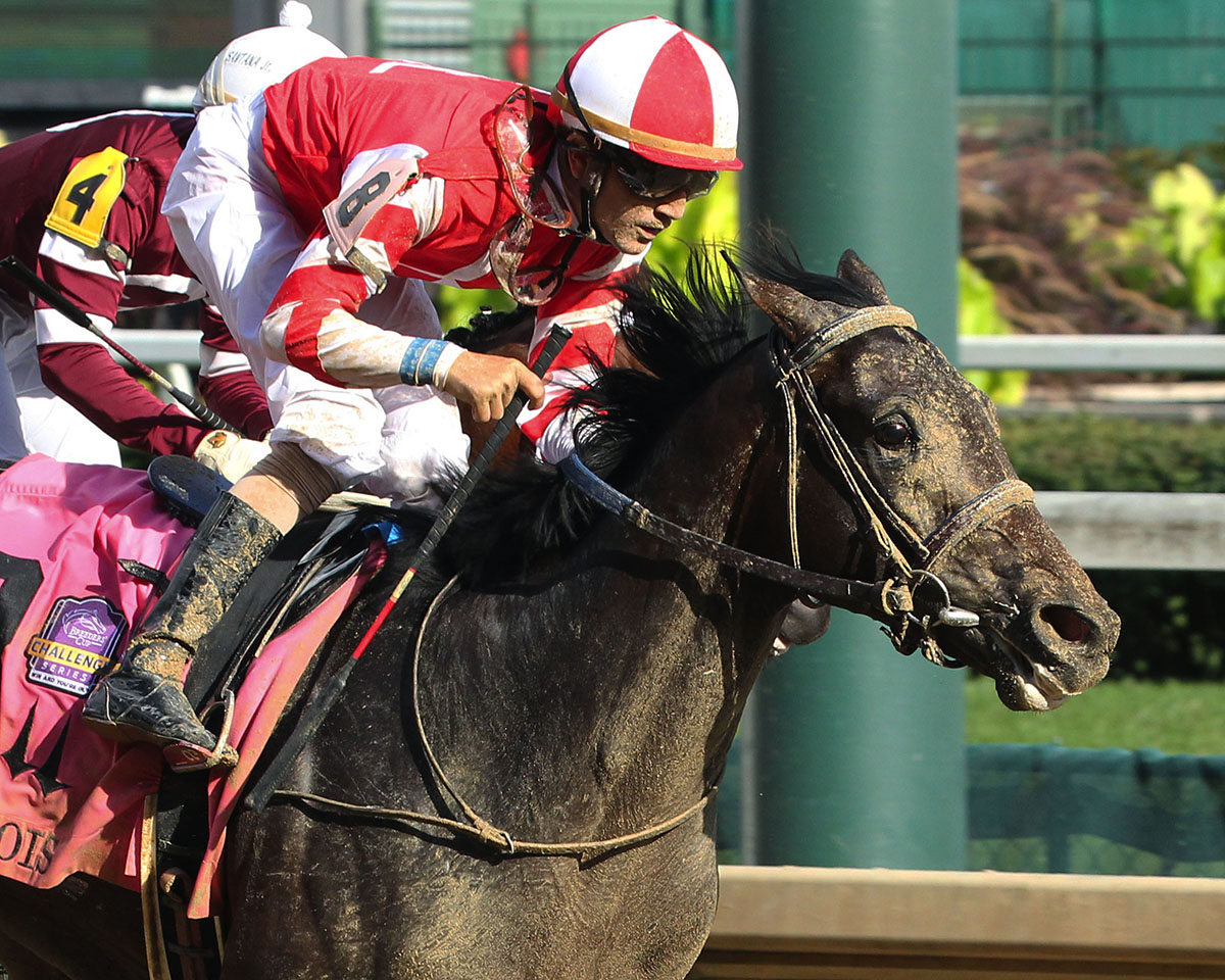 Cairo Cat wins the 2018 Iroquois
