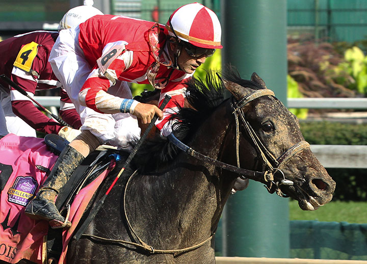 Cairo Cat wins the 2018 Iroquois Stakes