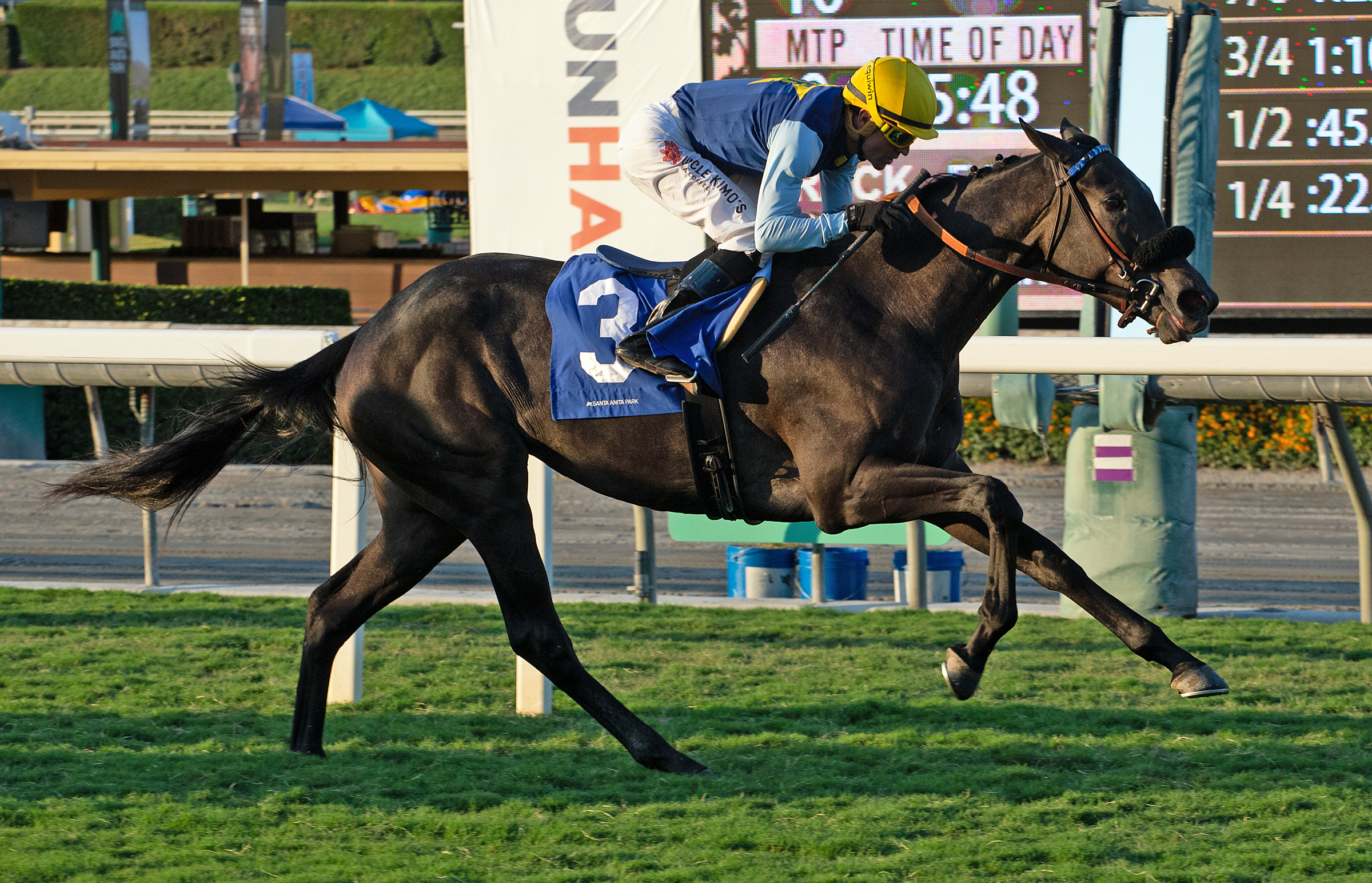 Cairo Memories wins Surfer Girl 10-3-2021