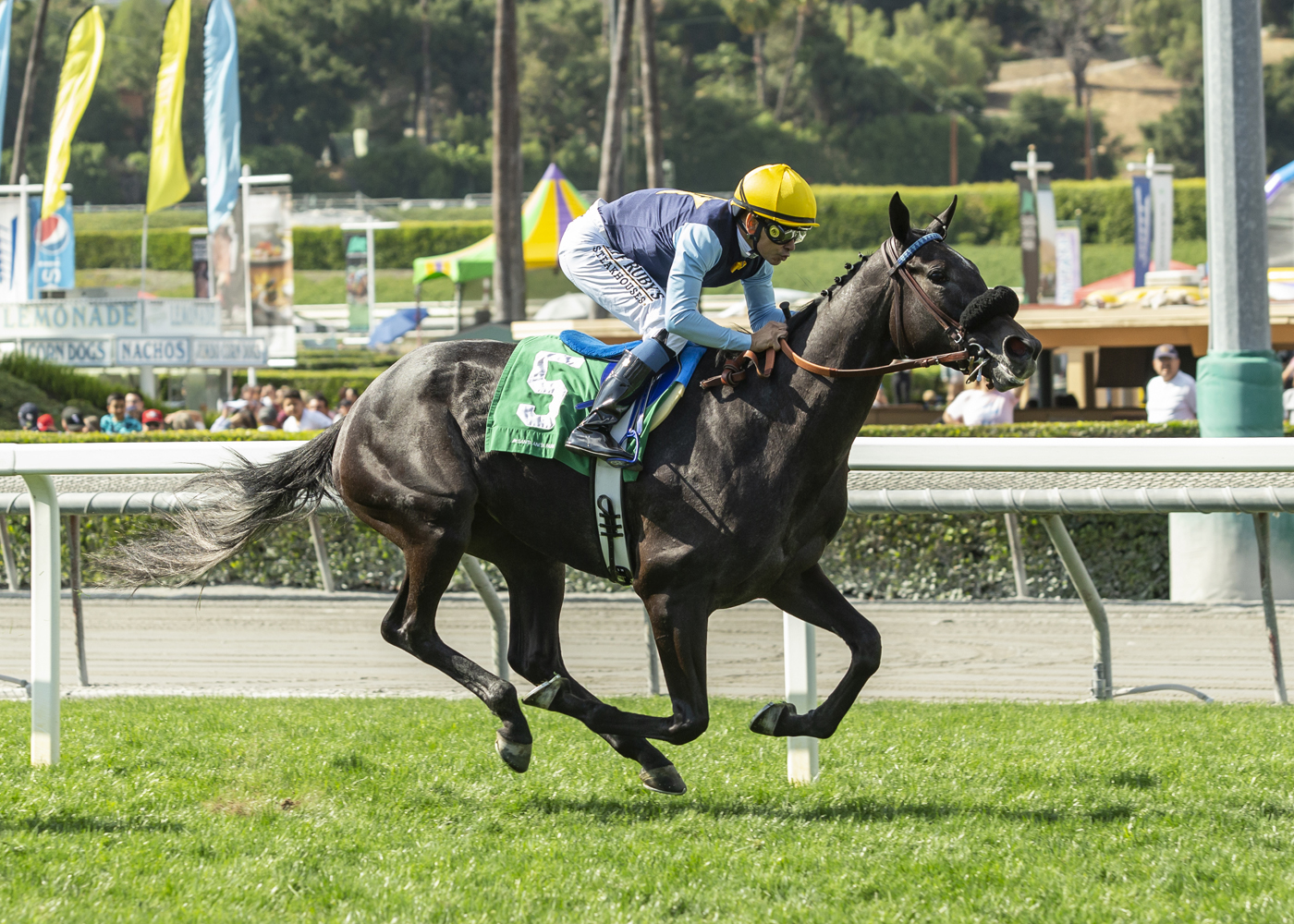 Cairo Memories respondió al favoritismo en el Honeymoon Stakes G3