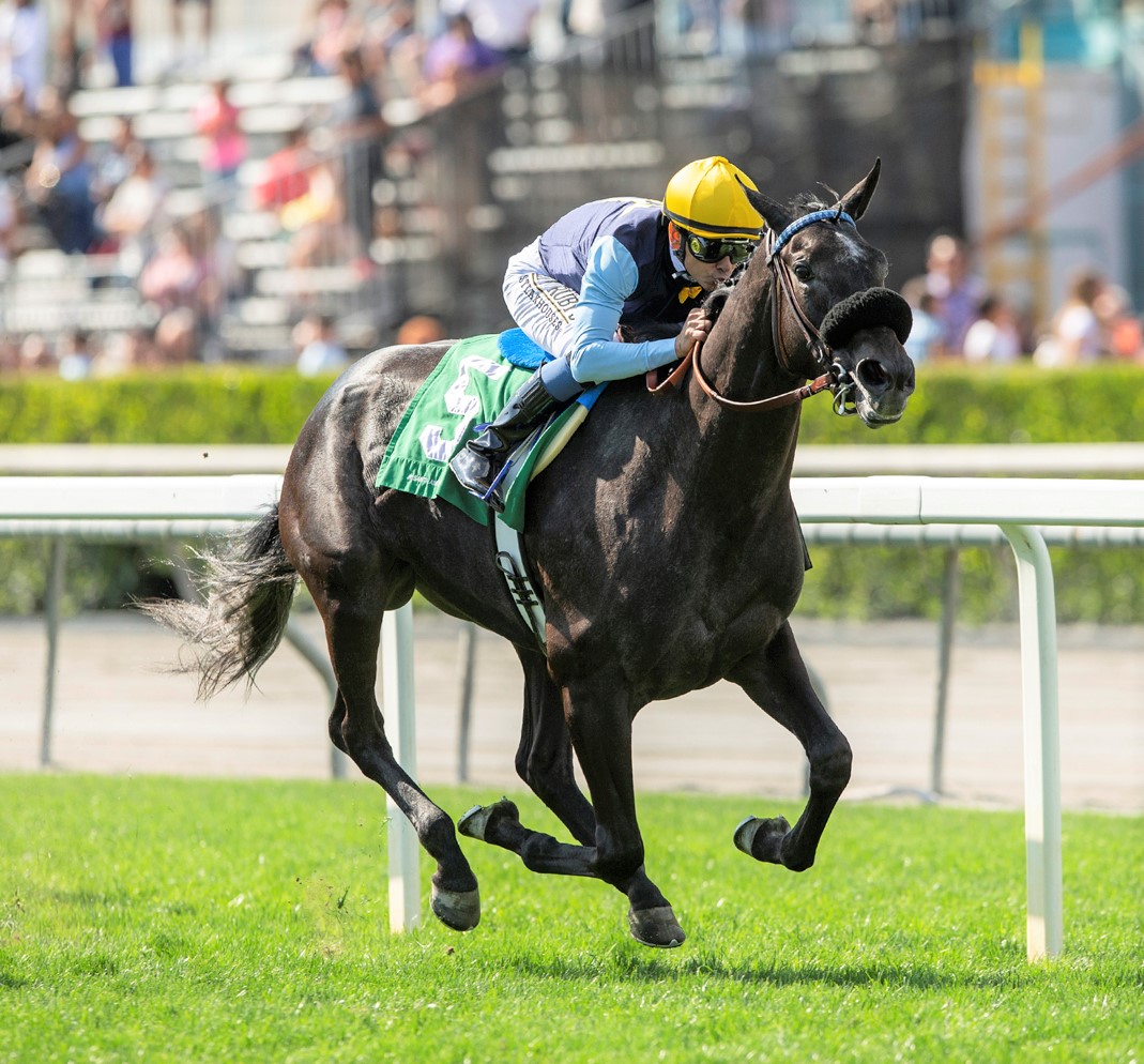 Cairo Memories wins the Honeymoon at Santa Anita May 29 2022