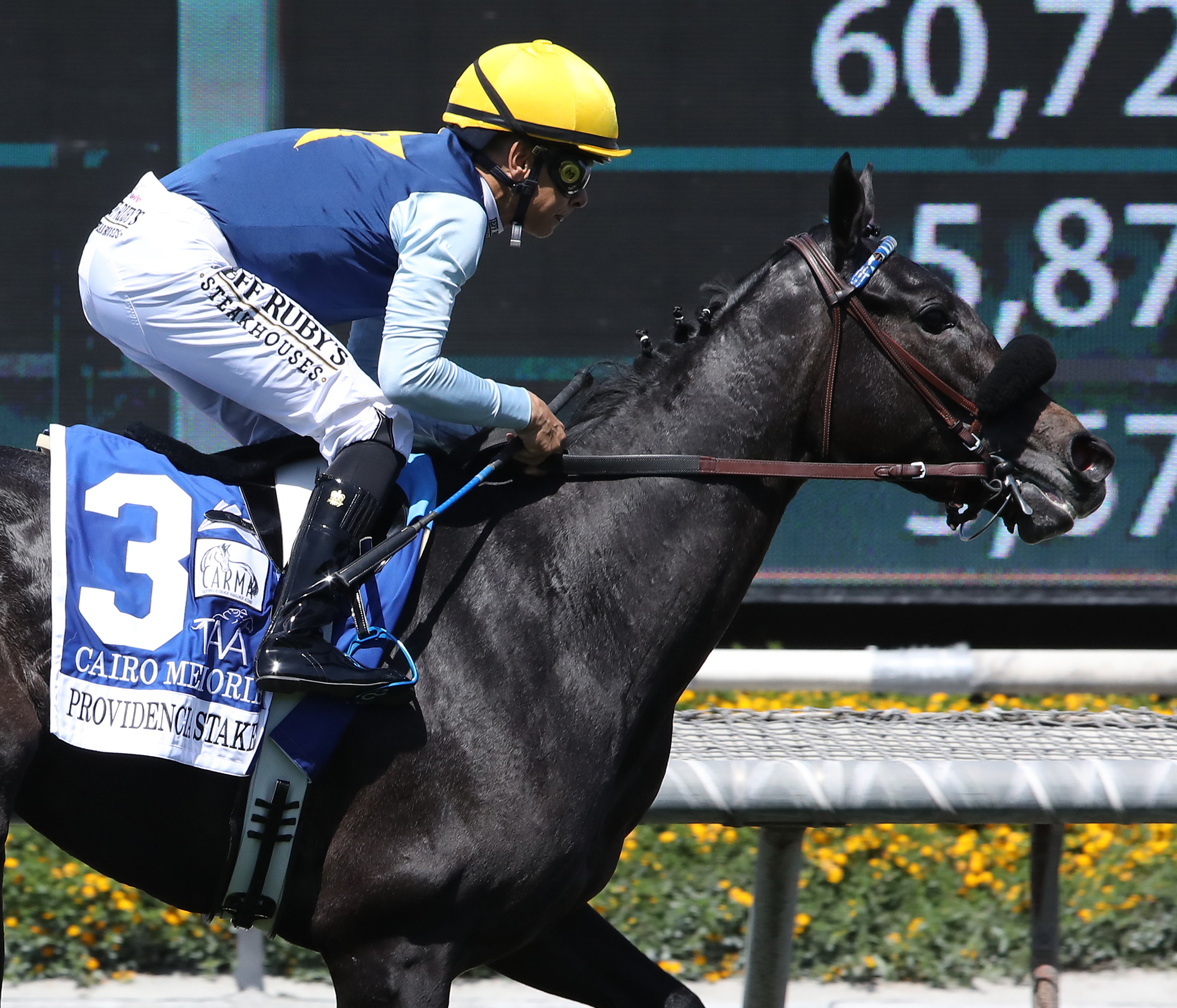 Cairo Memories wins Providencia Stakes 4-9-2022