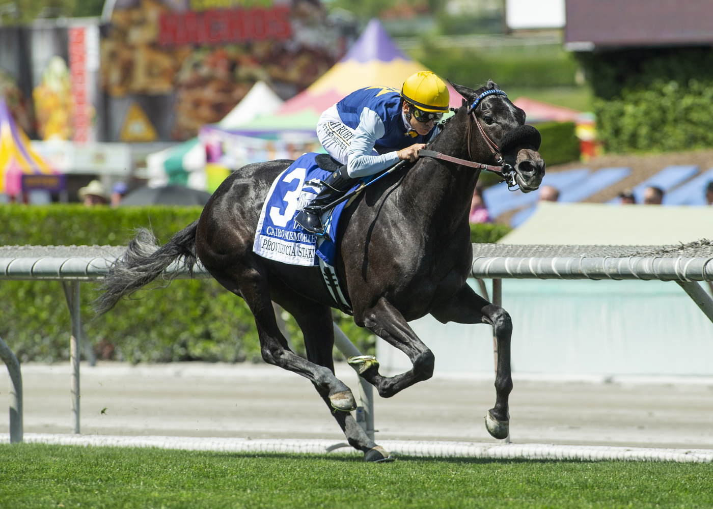 Cairo Memories wins the Providencia Stakes on April 9 2022