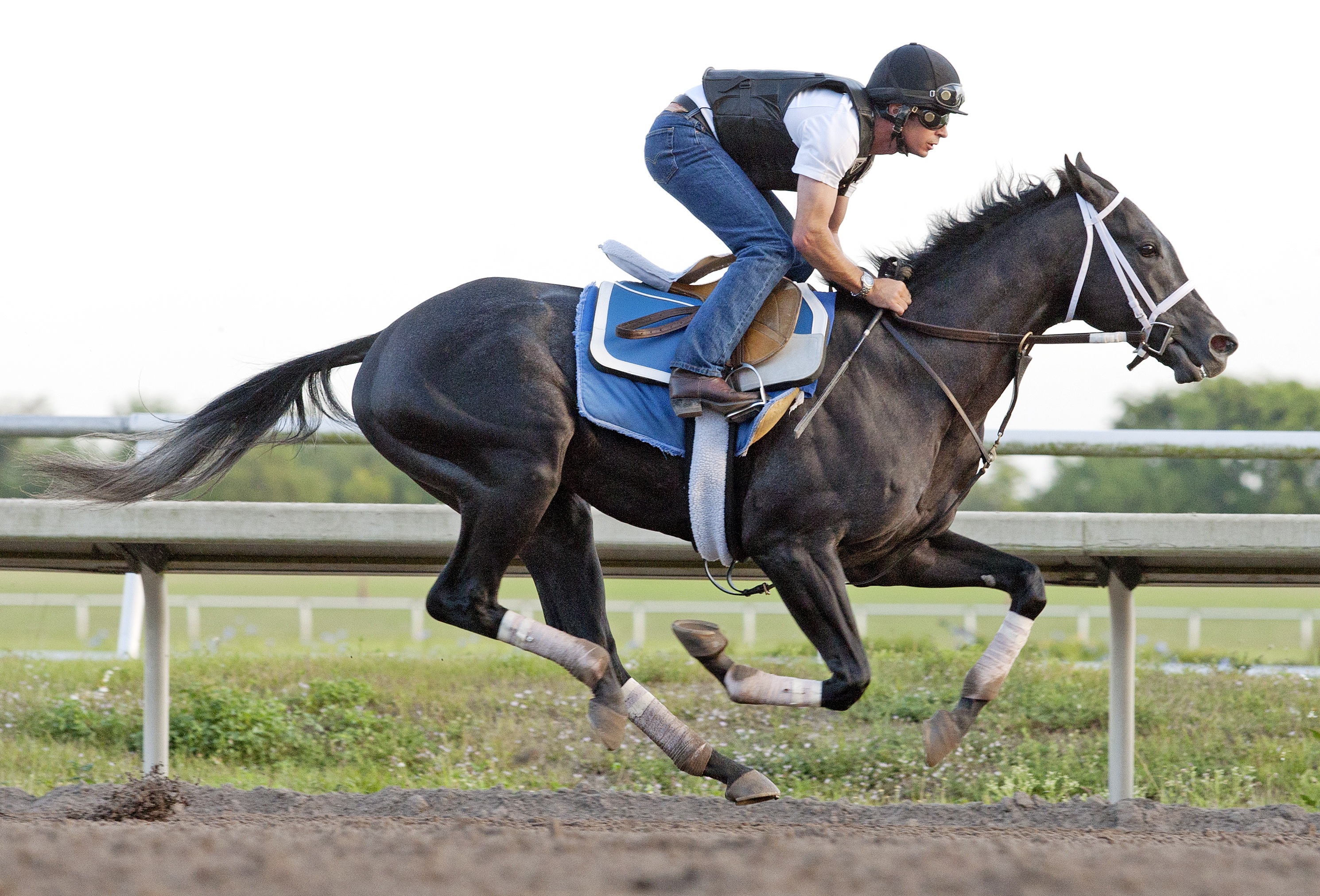Cairo Prince Rob Massey Palm Meadows 3-22-14