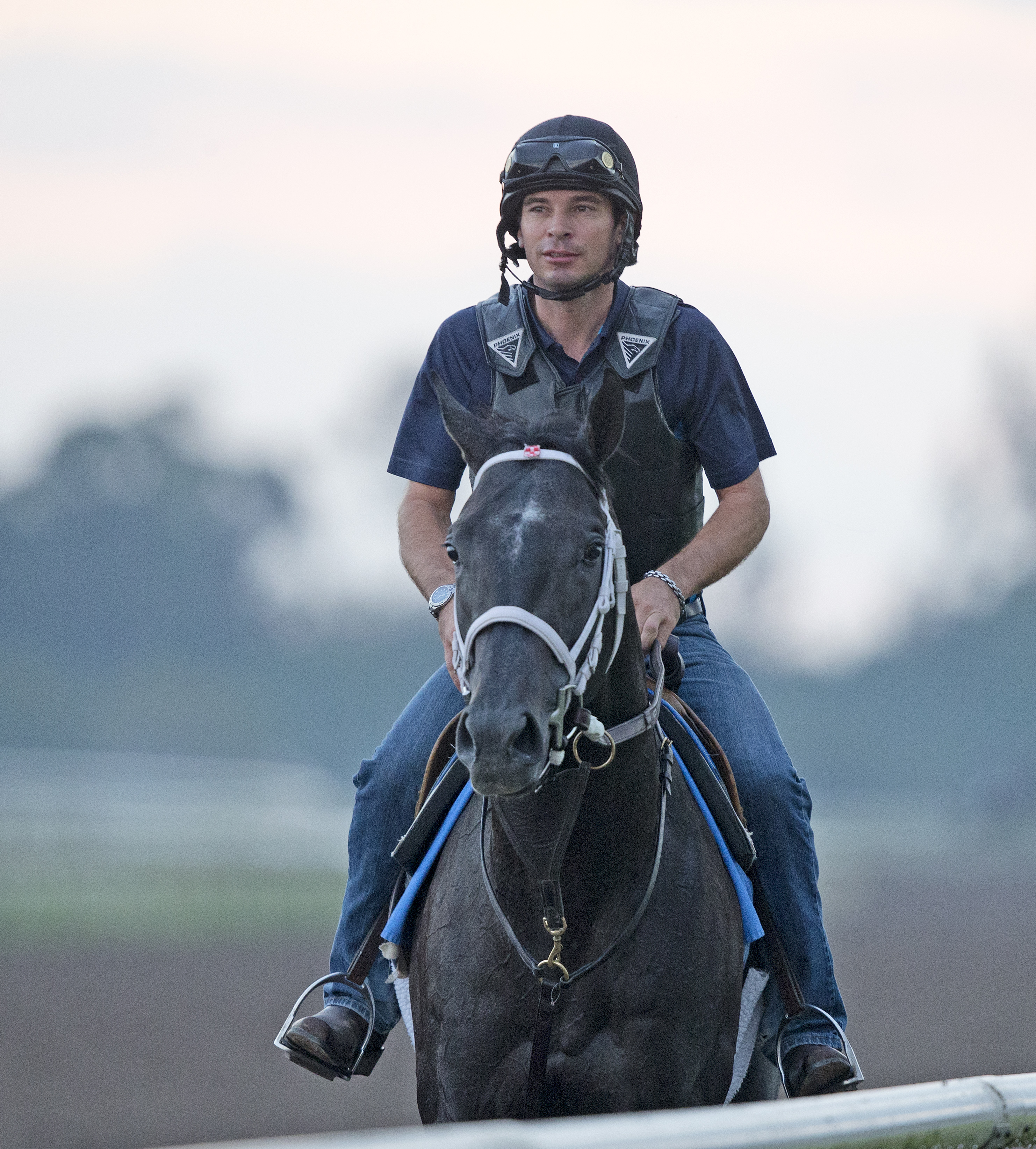 Cairo Prince, Feb 11, 2014, Palm Meadows