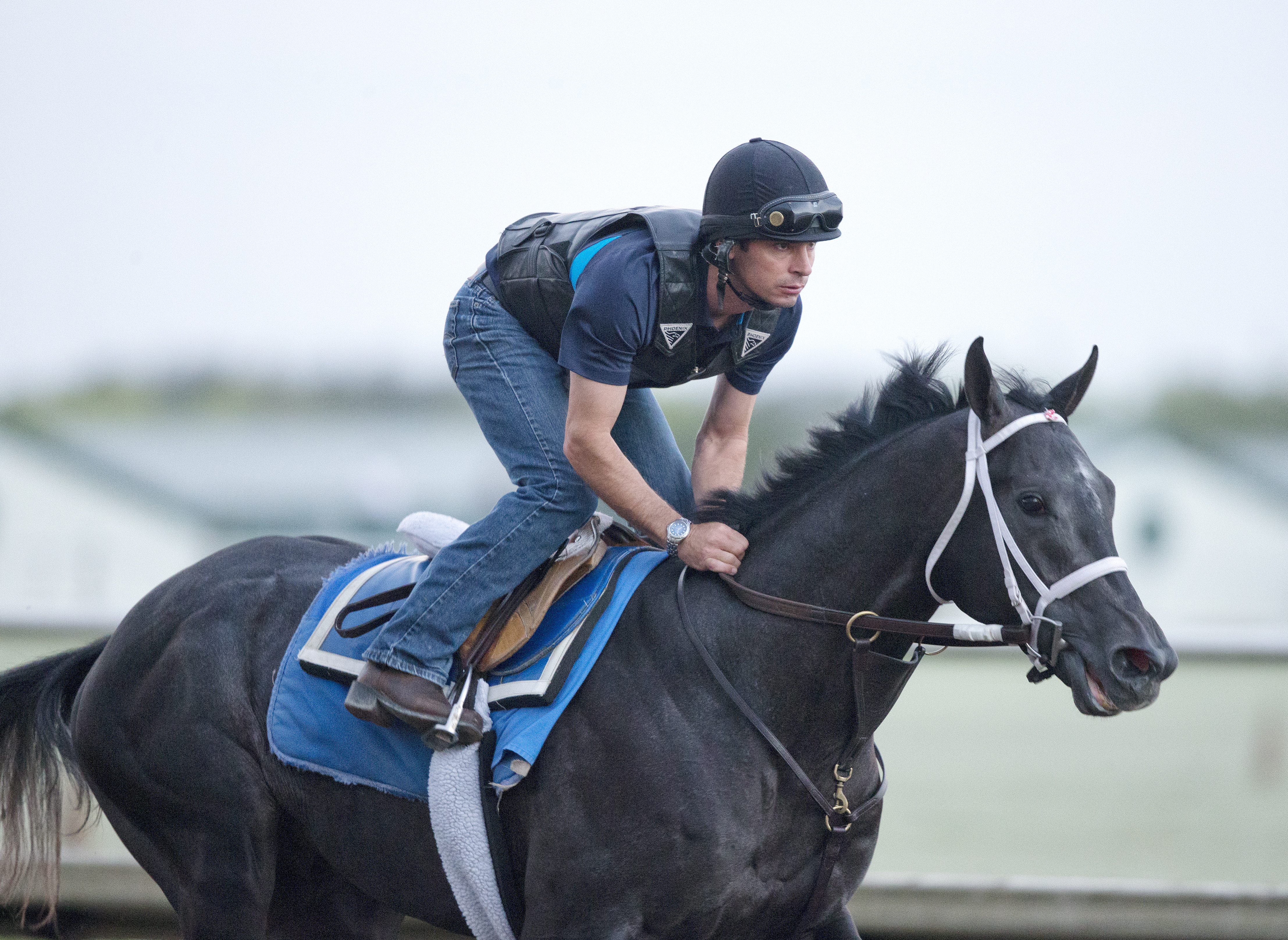 Cairo Prince at Palm Meadows