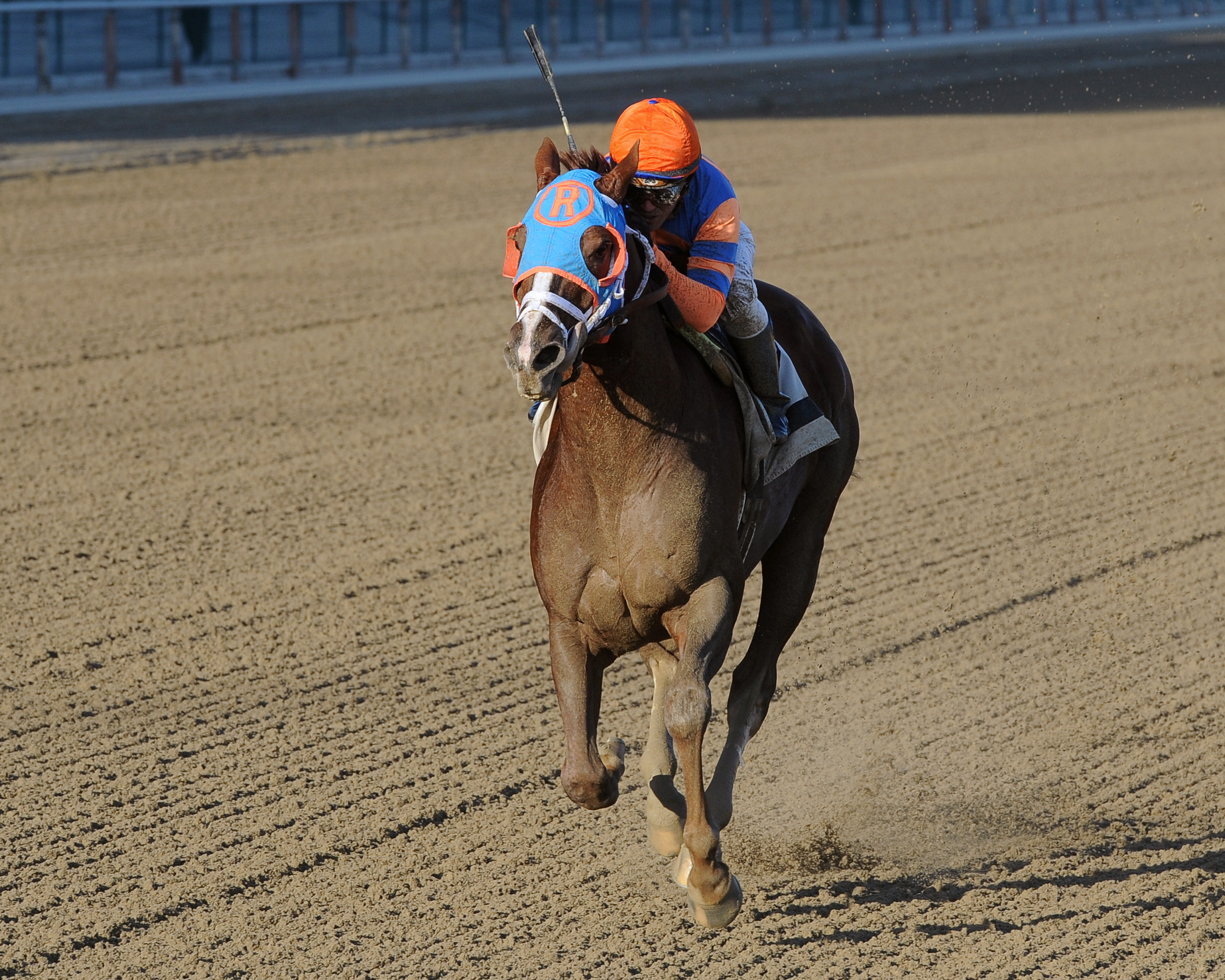 Caixa Eletronica, Fall Highweight Handicap