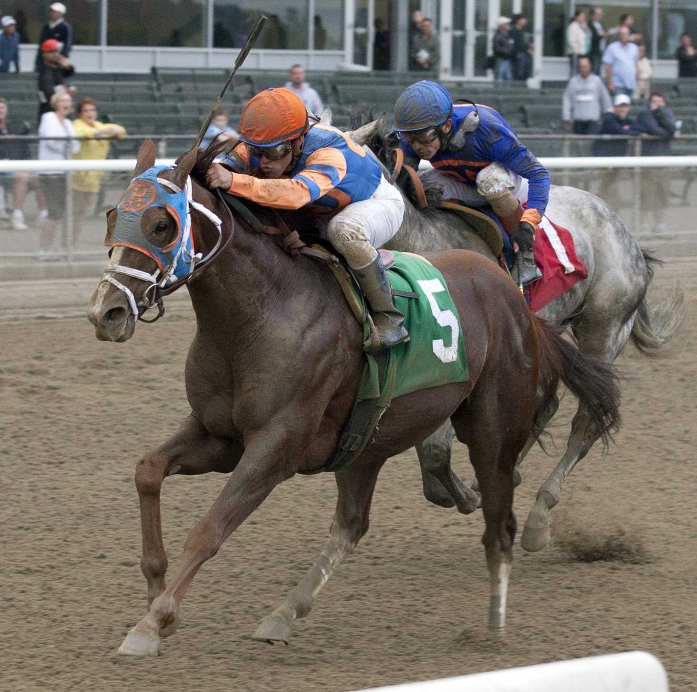 Caixa Eletronica, Duck Dance Stakes