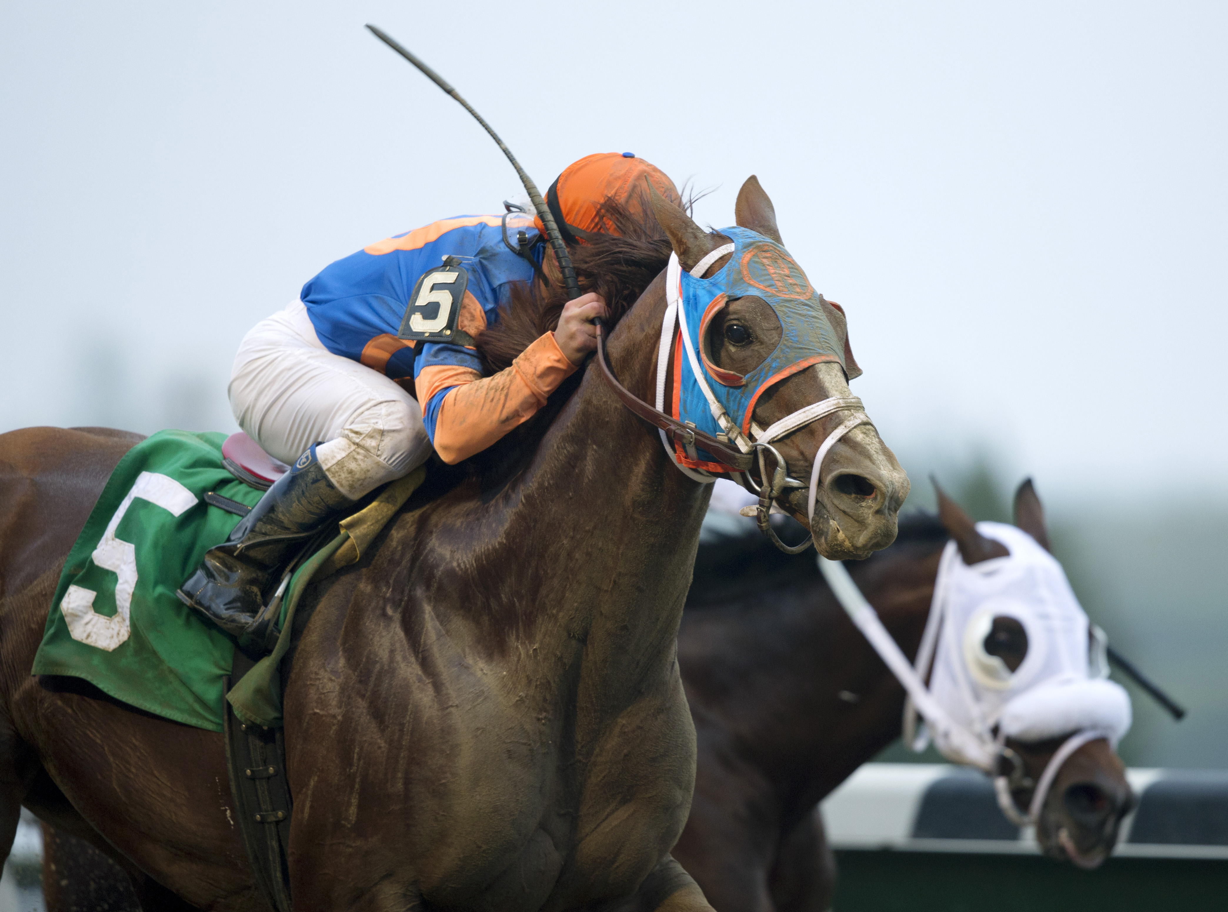 Caixa Eletronica wins the Duck Dance Stakes