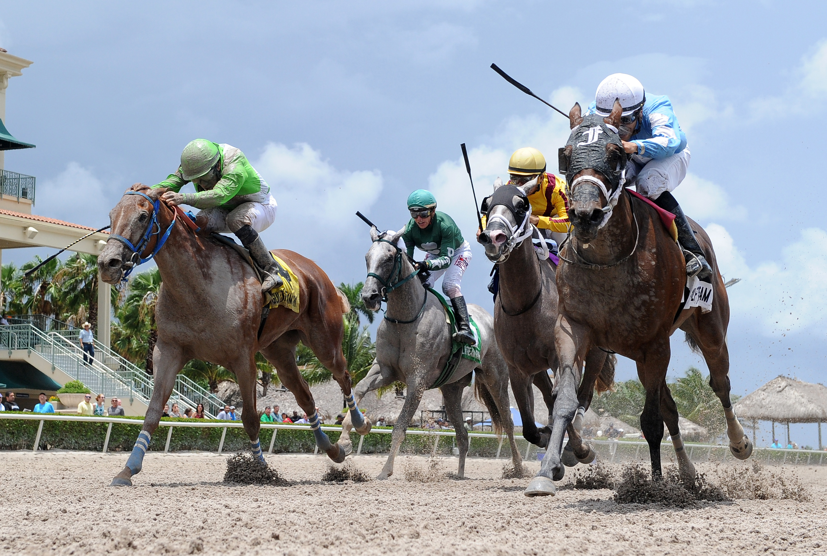 Lirica finishes second in the Cassidy Stakes