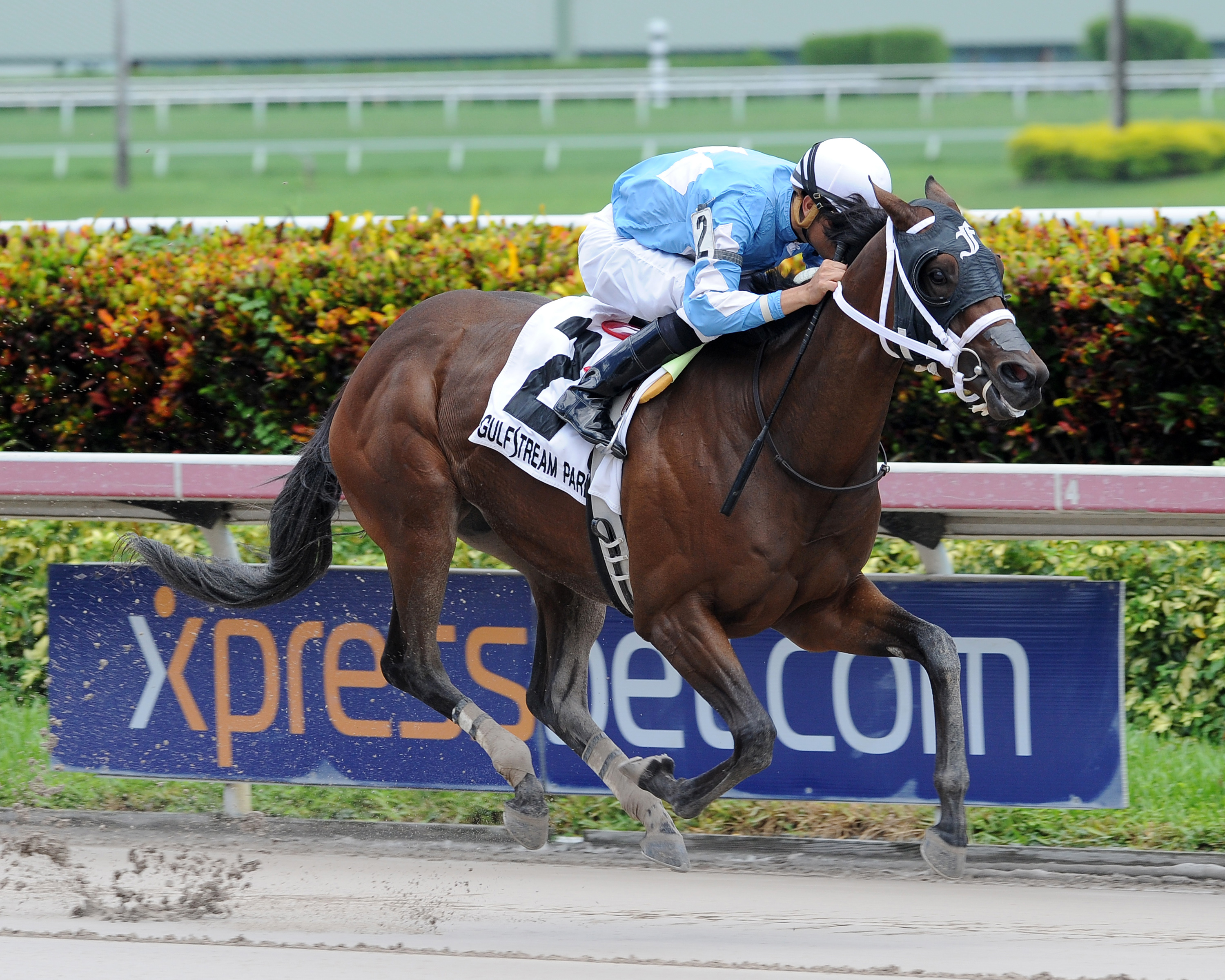 Cajun Delta Dawn wins the Susan's Girl