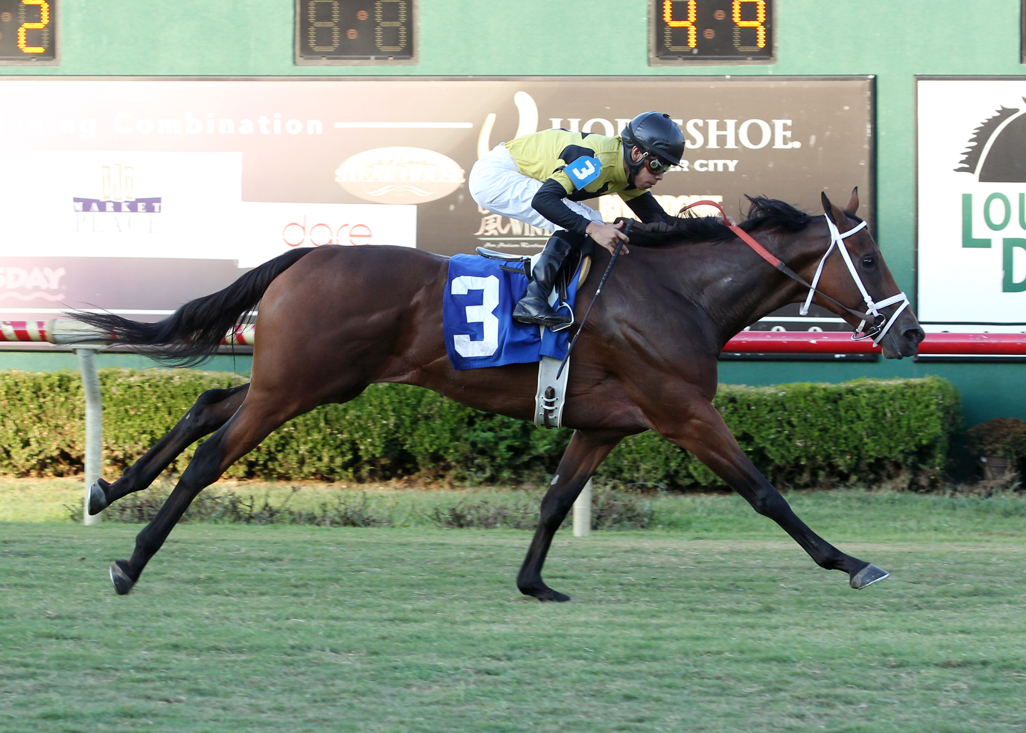 Cajun Spirit 9-19-2015