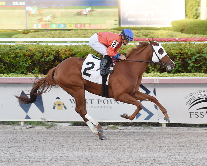 Cajun Delight wins a Sept. 8, 2019 maiden race at Gulfstream Park