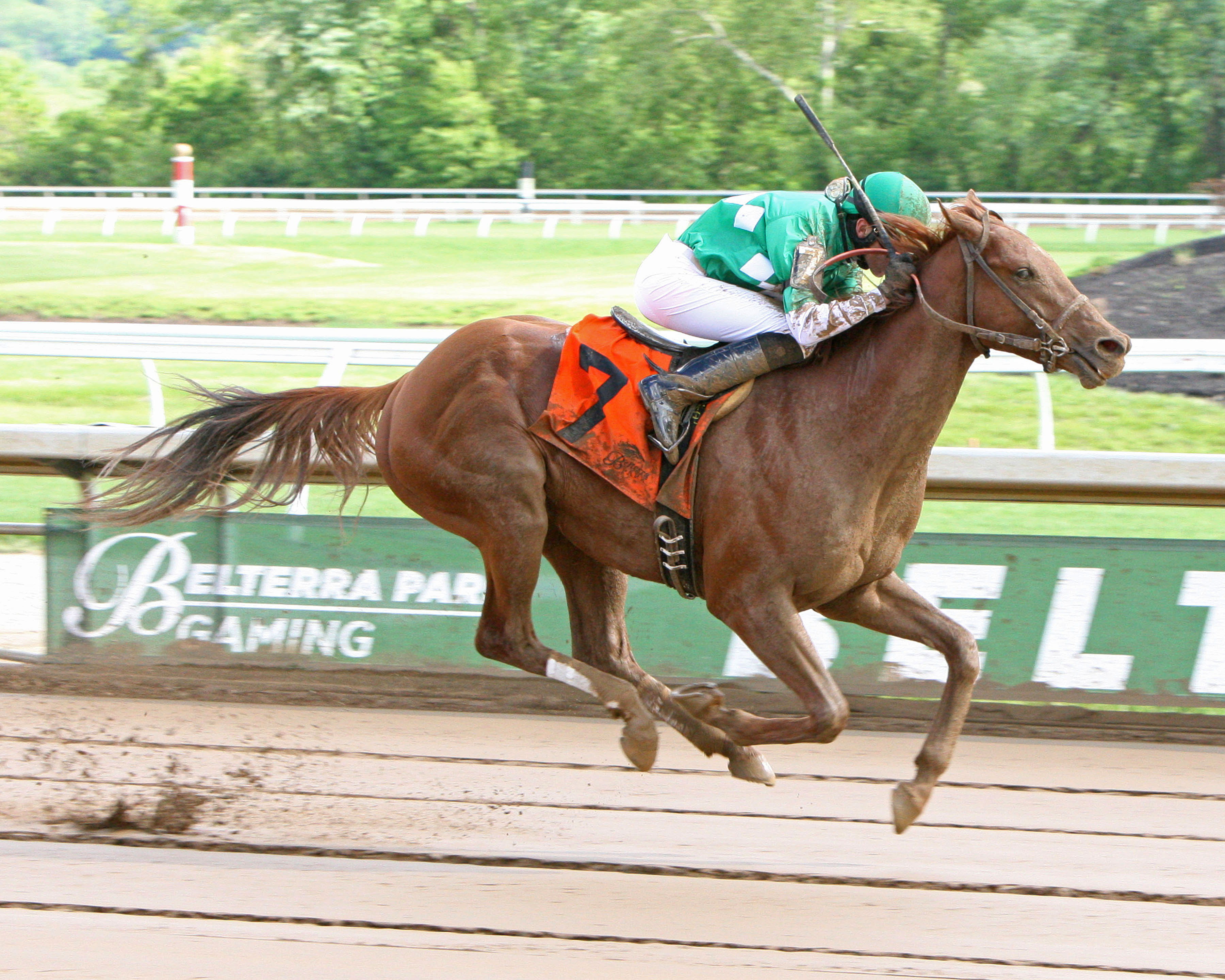 Cake Pop wins the Tall Stack Stakes