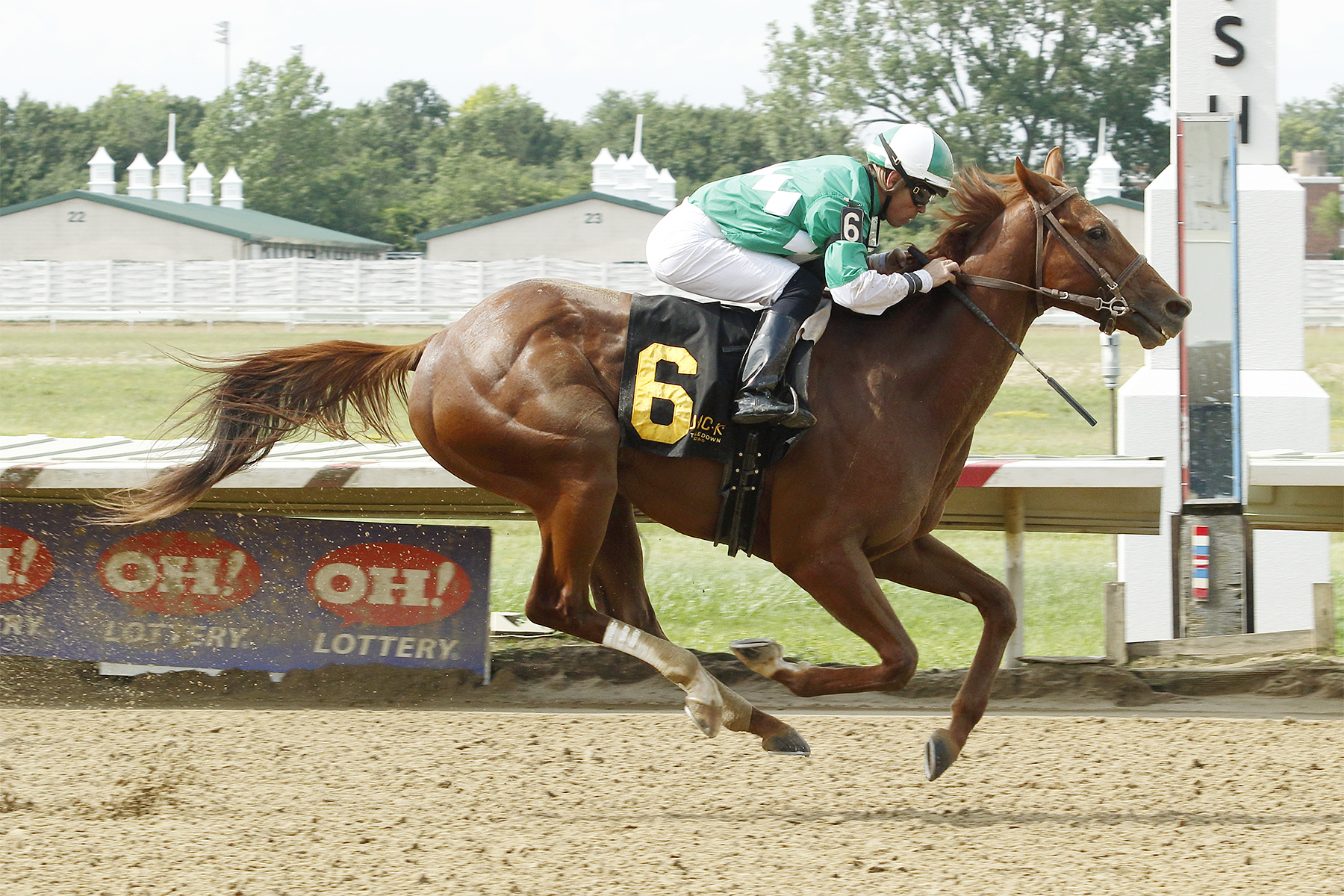 Cake Pop wins the 2017 Cleveland Gold Cup
