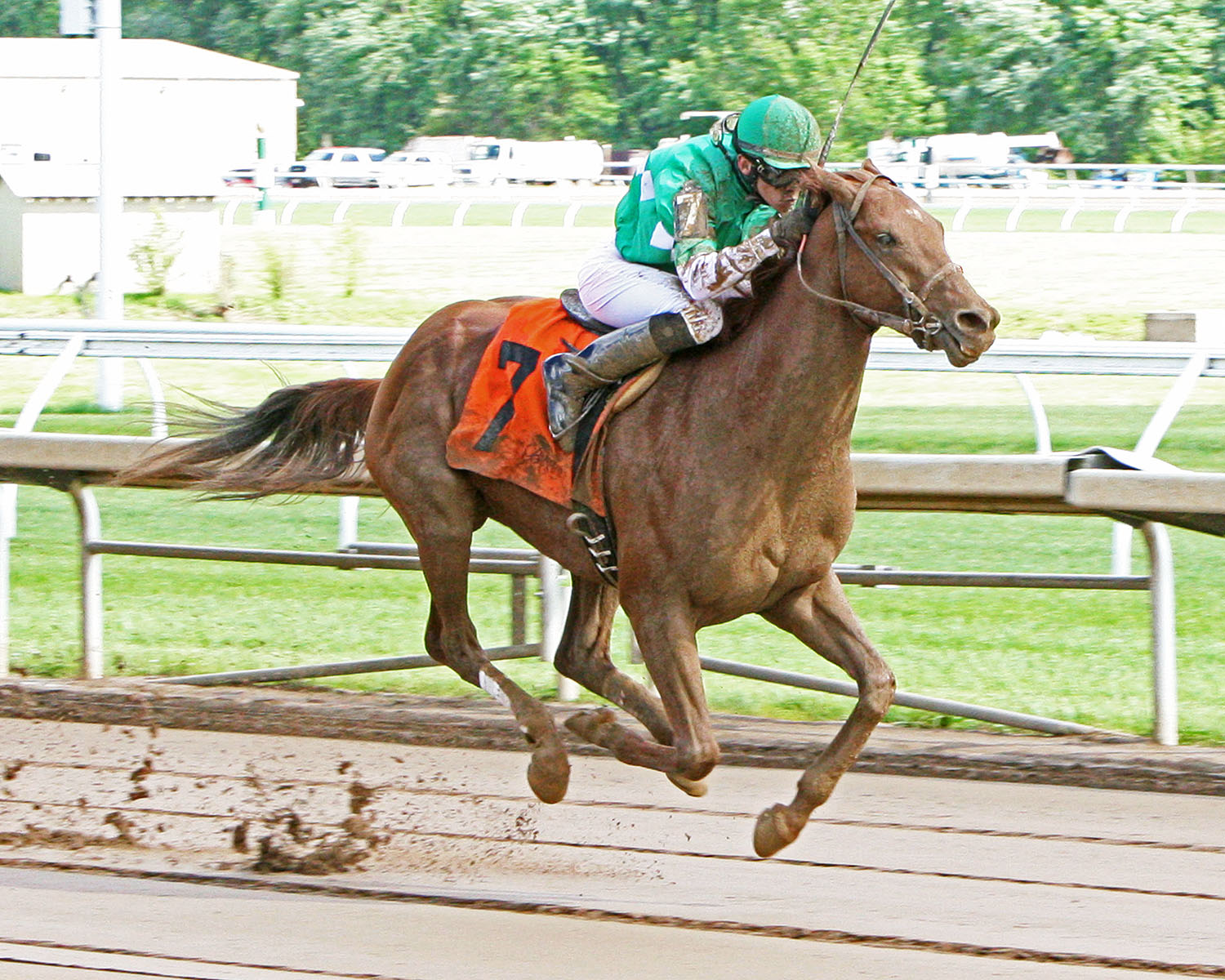 Cake Pop wins the 2017 Tall Stack Stakes