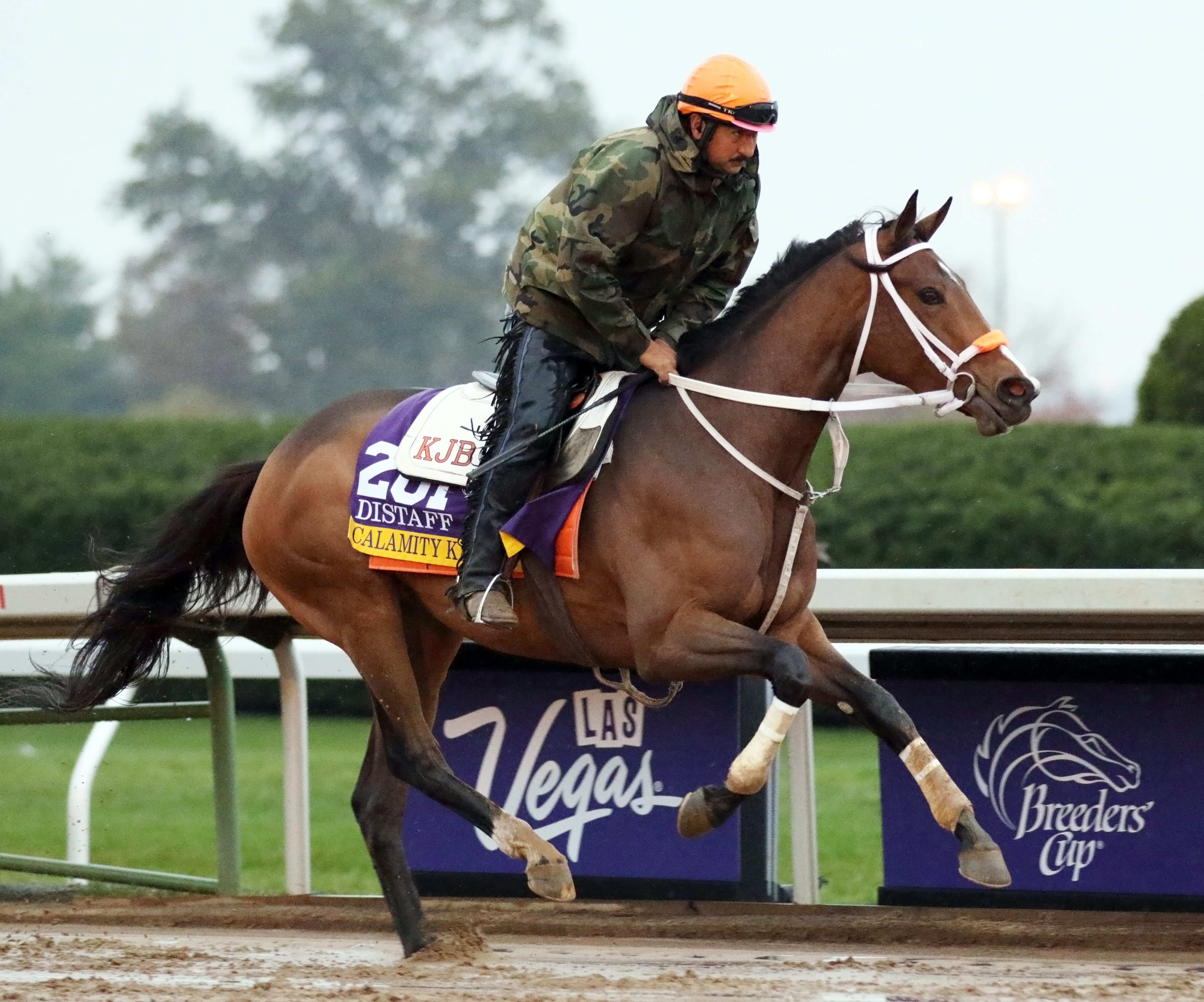 Calamity Kate at Keeneland on Oct. 27