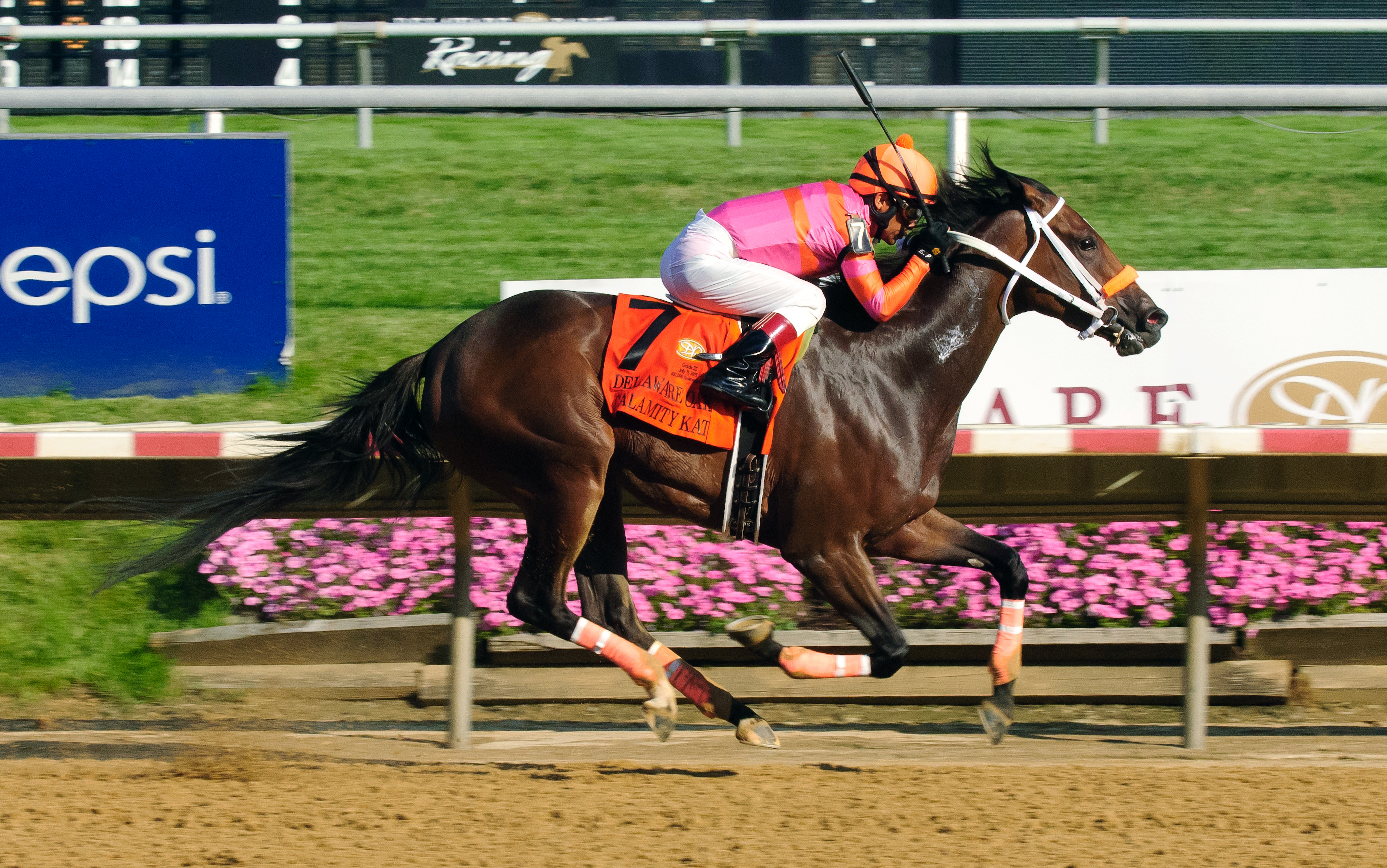 Calamity Kate wins the Delaware Oaks